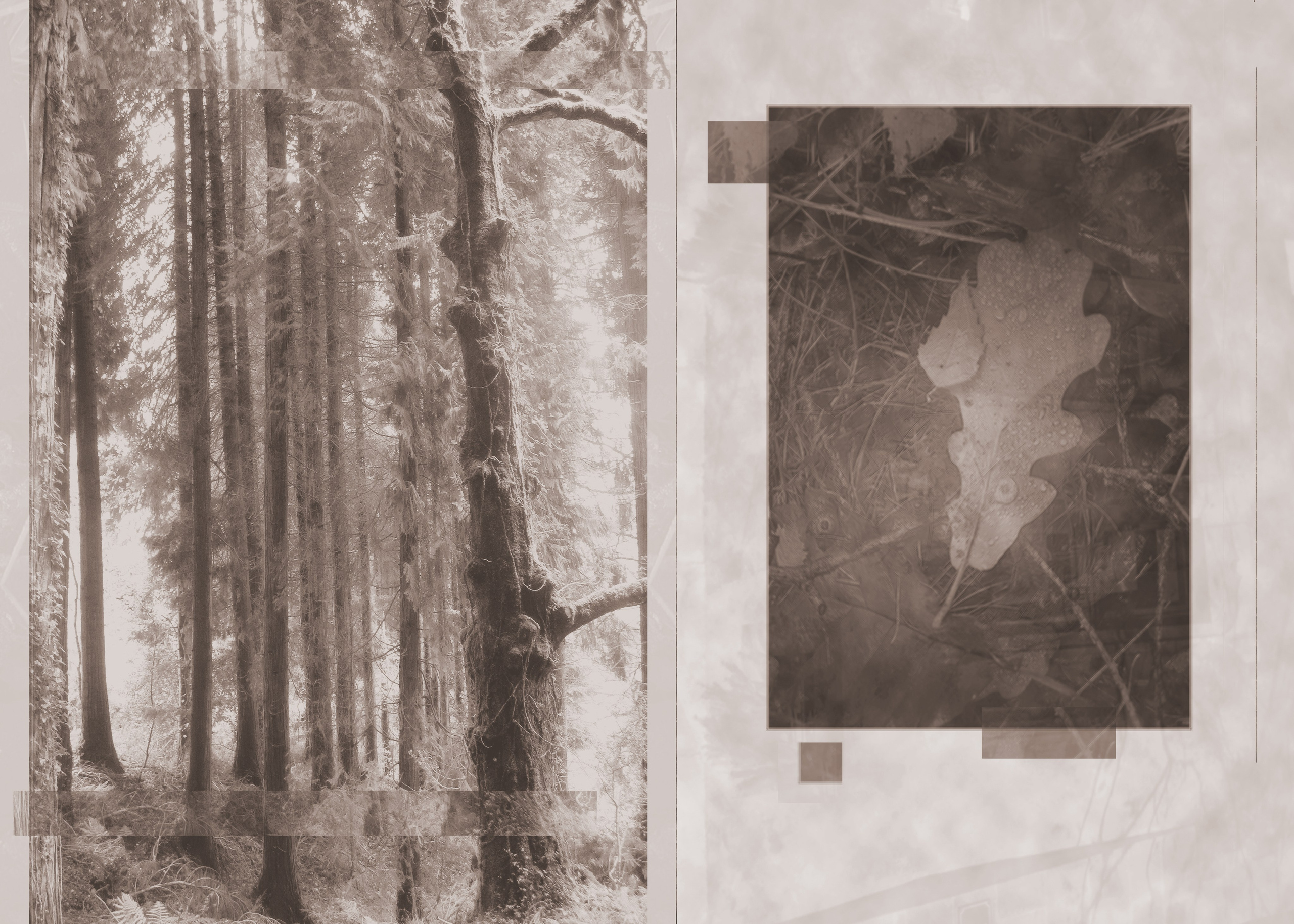 Ностальгия. Визуальный художник Лиана Даренская, Москва