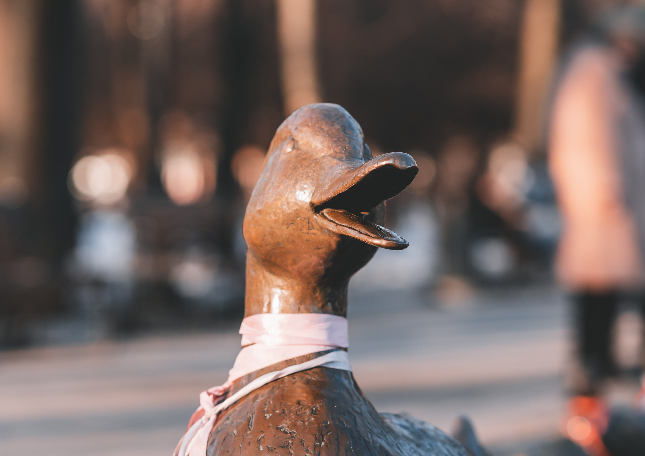 Утки - вперед в сквере Новодевичьего монастыря