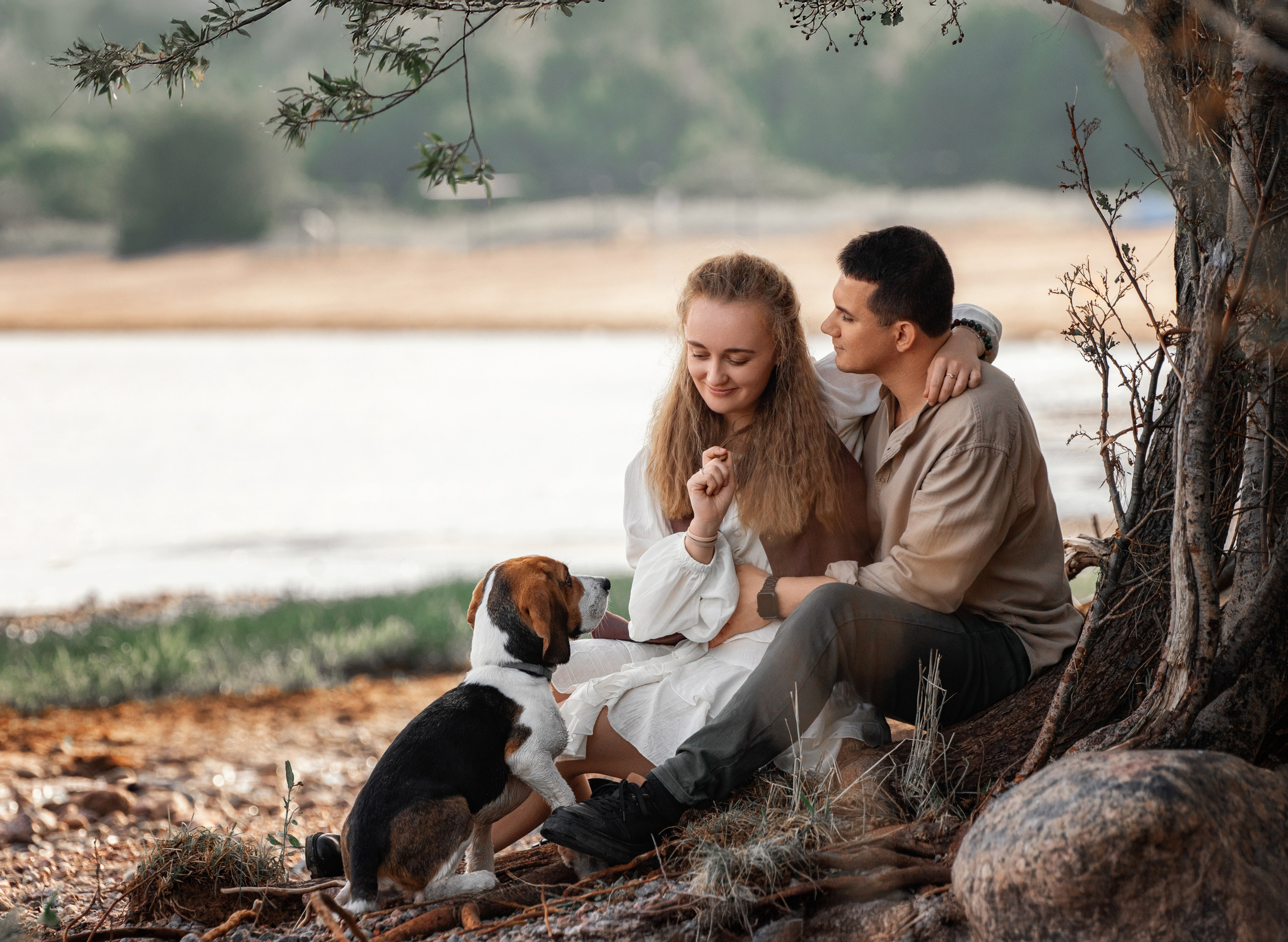 Стоимость фотосъемки собаки. Фотограф-анималист Юлия Зубкова