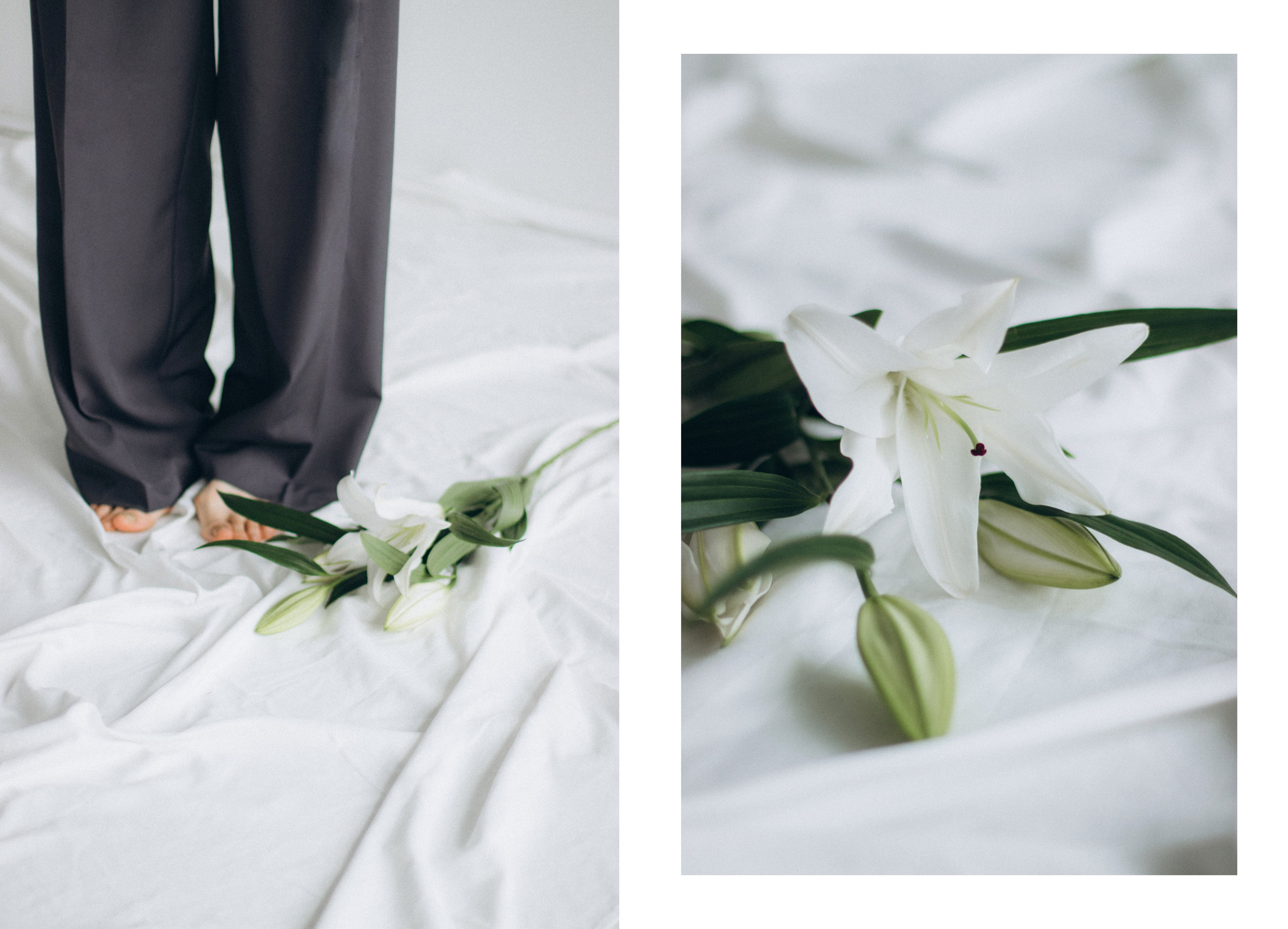 Услуги. Фотограф в Зато Озёрном и Тверской области