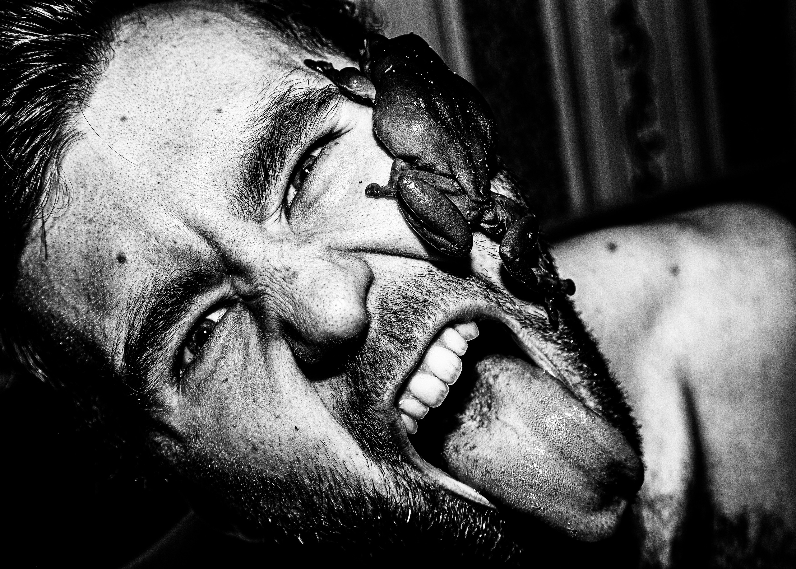 Фотовыставка. Черно-белый фотограф Дмитрий Пчелкин