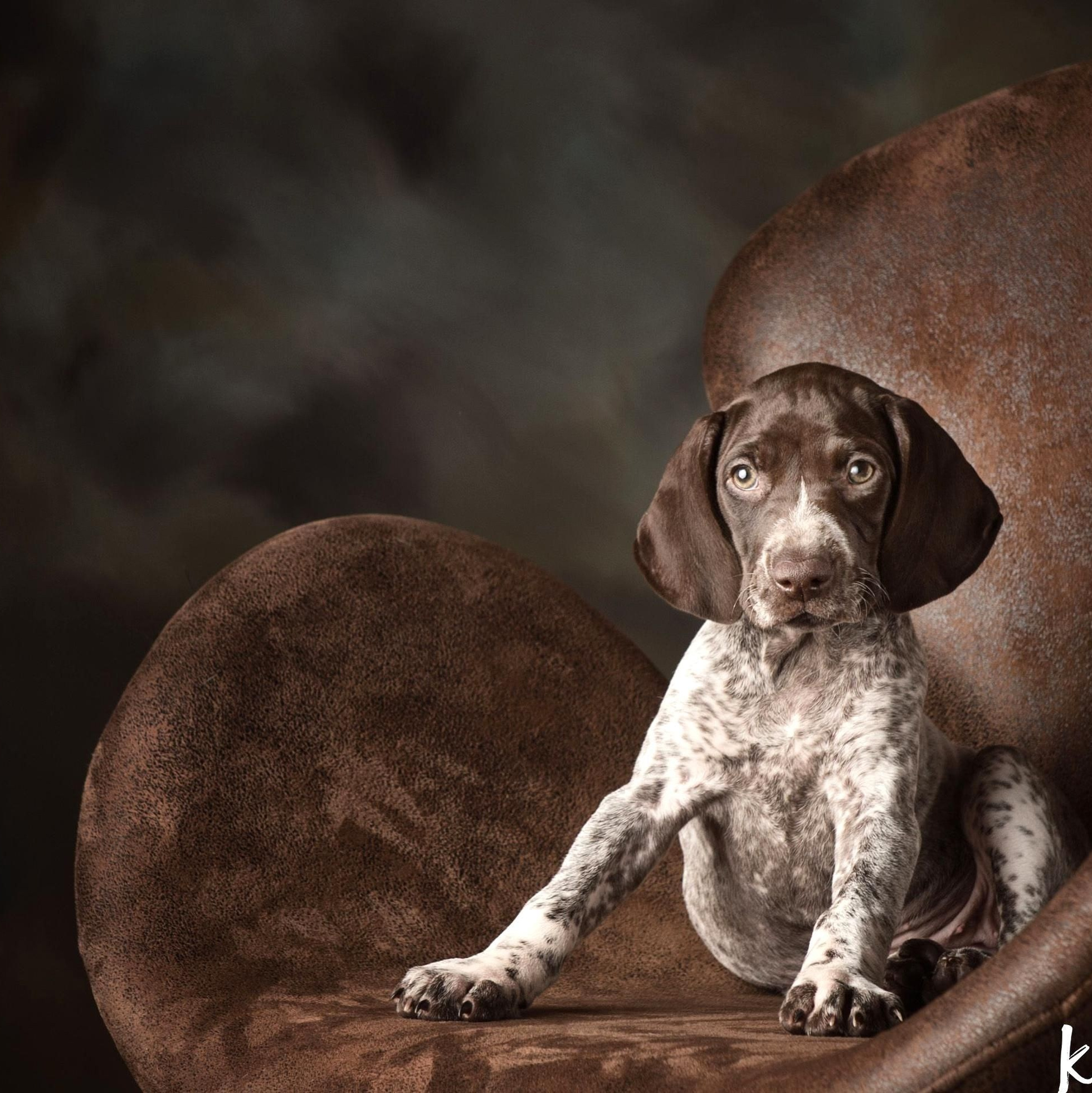 Как подготовится к фотосессии?. Интерьерная фотостудия FOTOGEN г. Краснодар