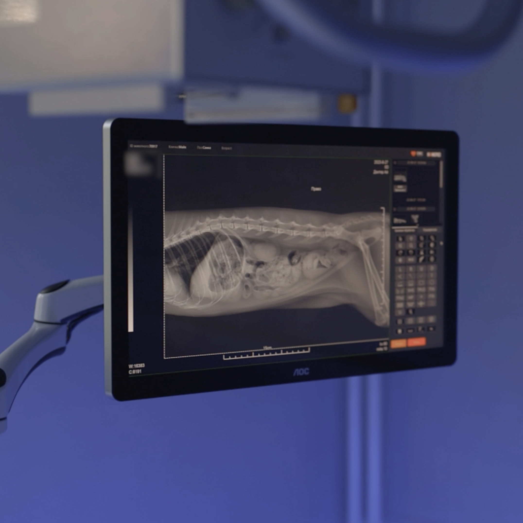 Рентген. Ветеринарная клиника «Доктор Ай» | Королев