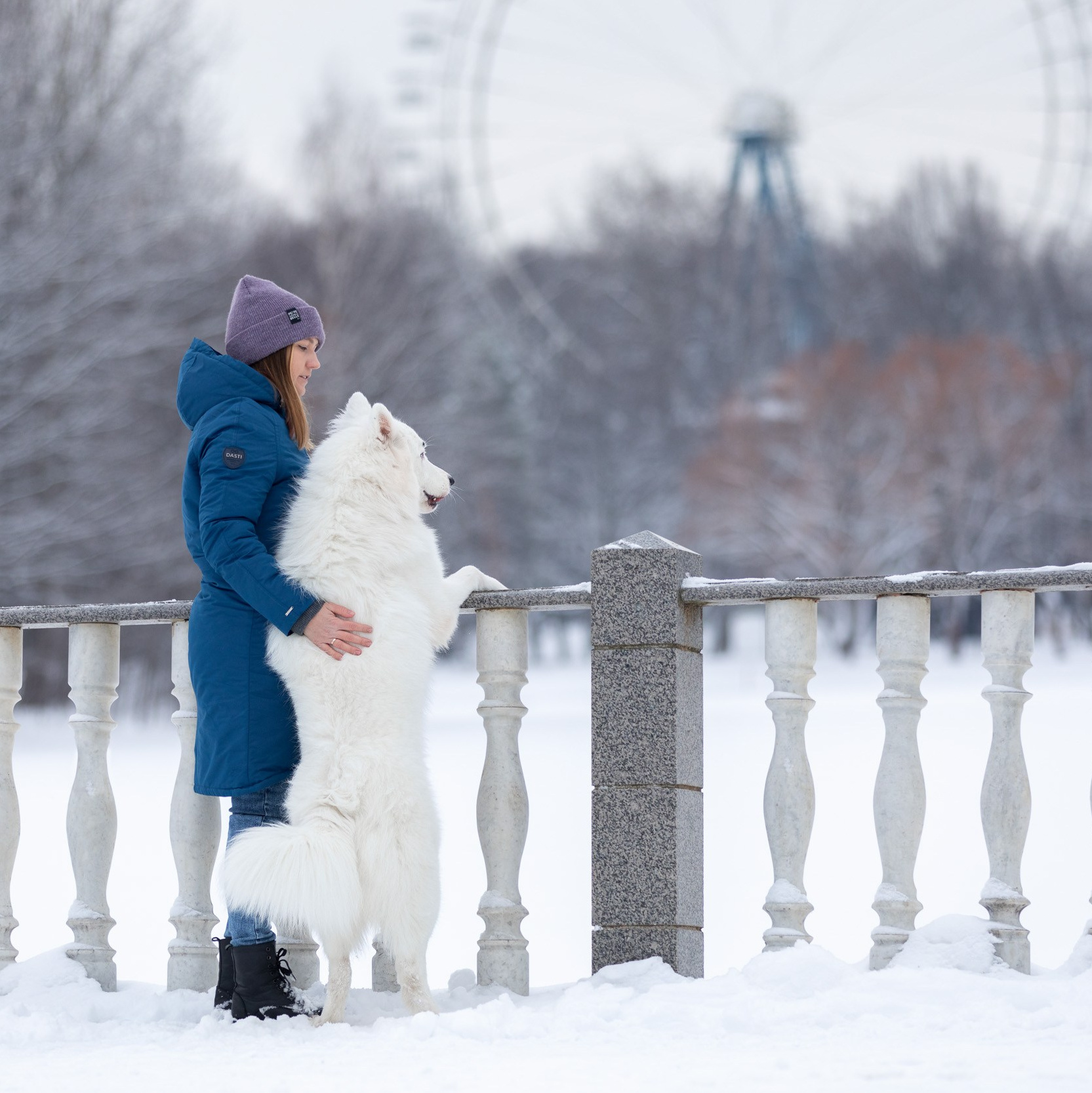 Стоимость фотопрогулки с собакой в Москве и области. Фотограф-анималист в Москве и Московской области Татьяна Фролова