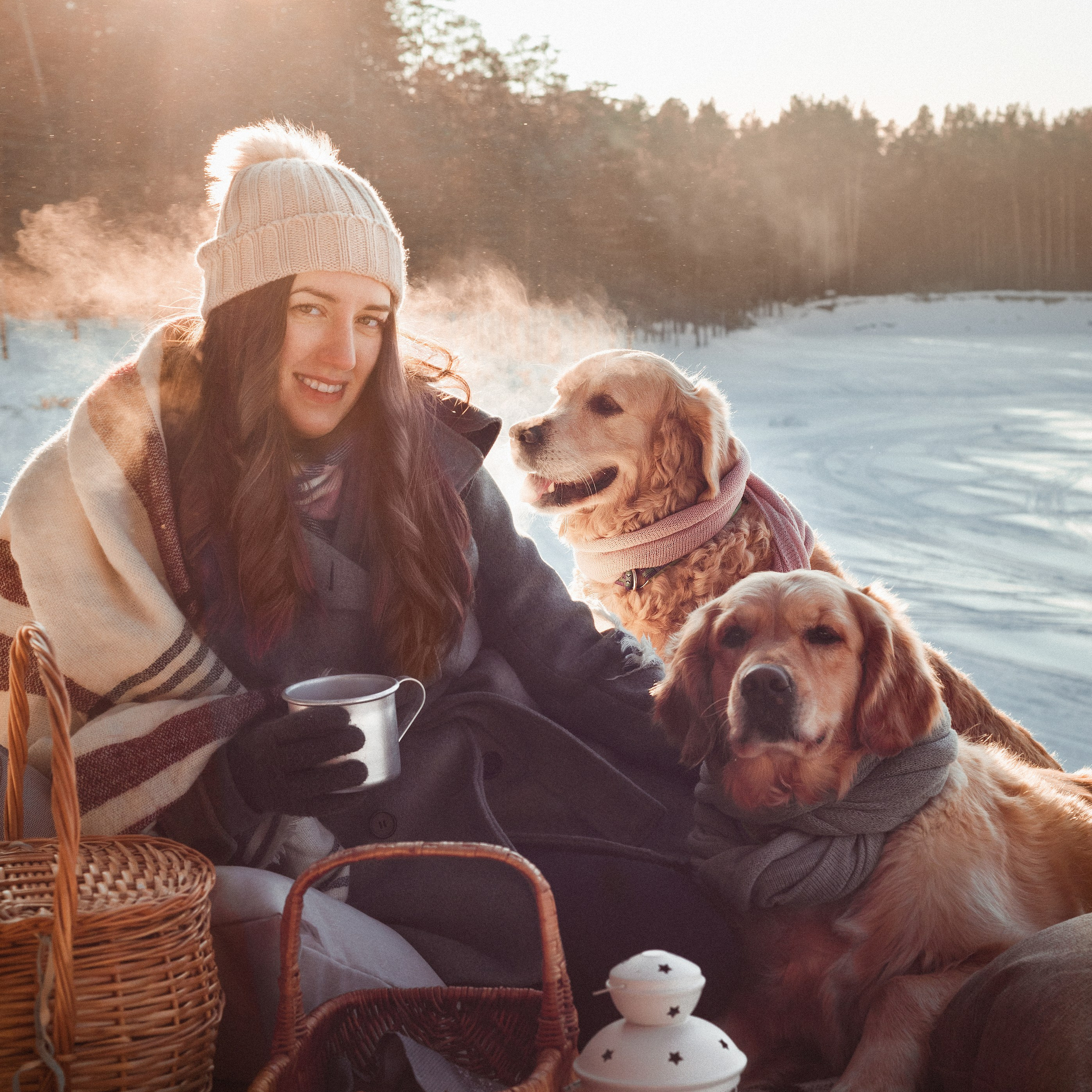 Питомник Грааль Гардарика