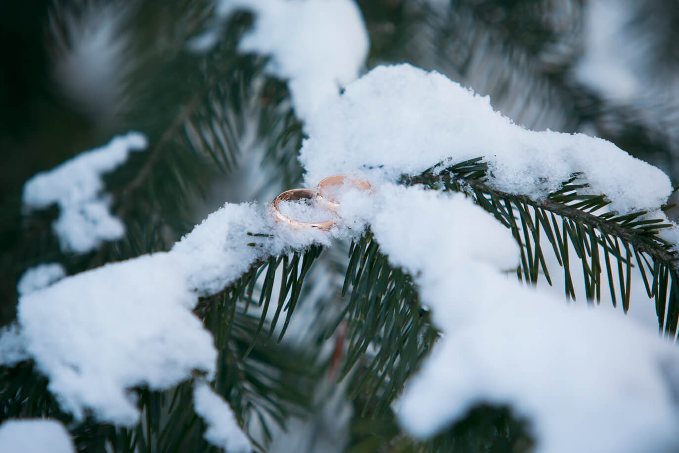 Свадьбы. Фотограф в Городе Томске Ксения Шуба