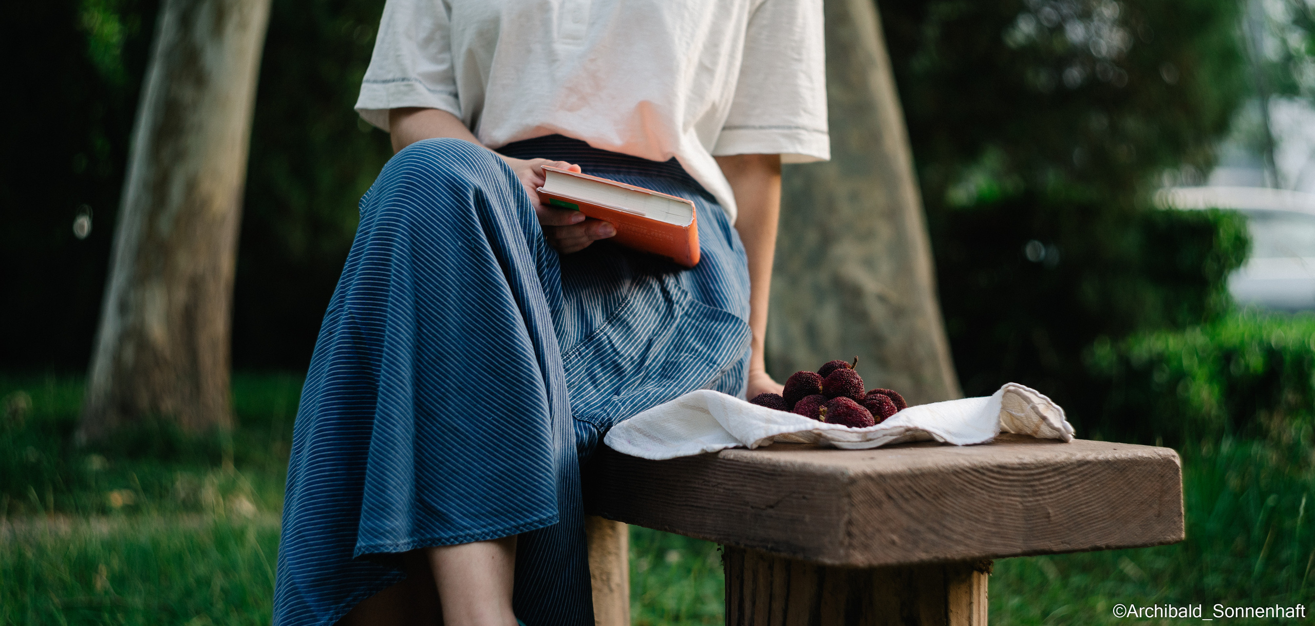 YangMei 杨梅，Bayberry. Photographer in Guangzhou, China. Archibald Sonnenhaft