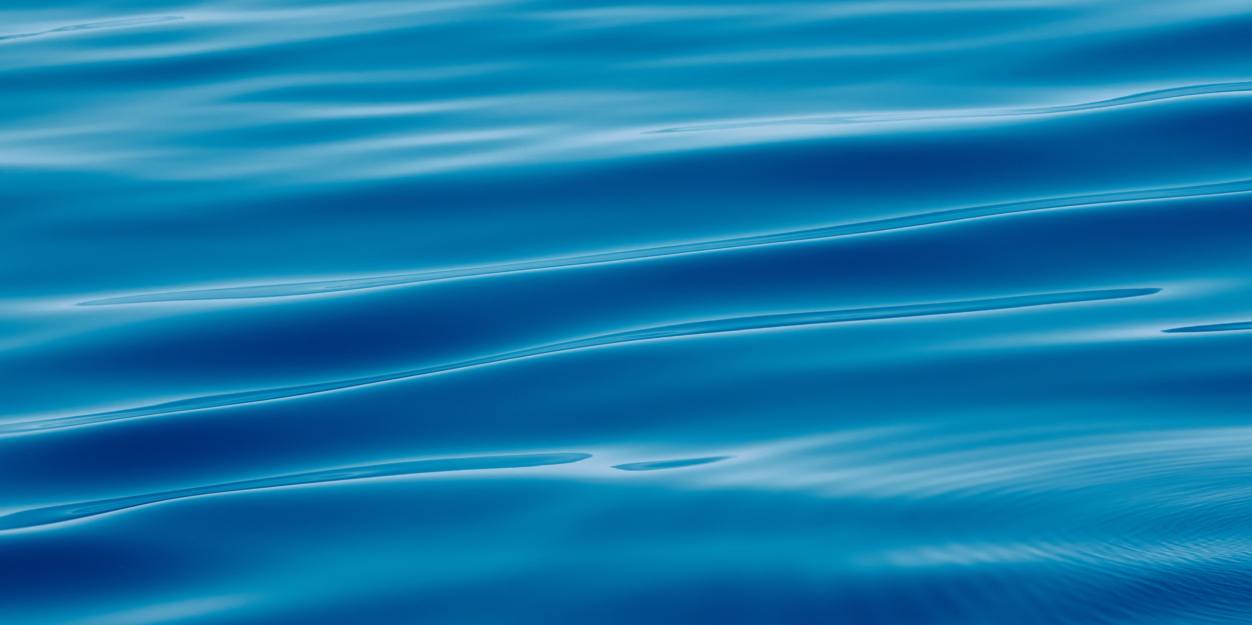 Работы, на дереве, холсте, стекле, которые можно приобрести. Яркие фото на Чёрном море