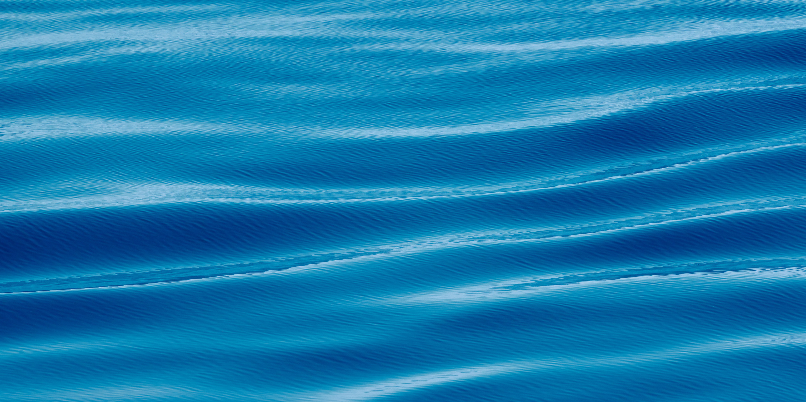 Работы, на дереве, холсте, стекле, которые можно приобрести. Яркие фото на Чёрном море