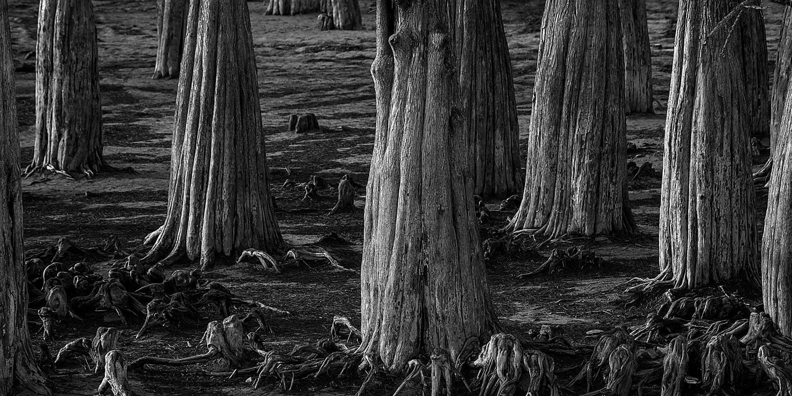 Работы, на дереве, холсте, стекле, которые можно приобрести. Яркие фото на Чёрном море