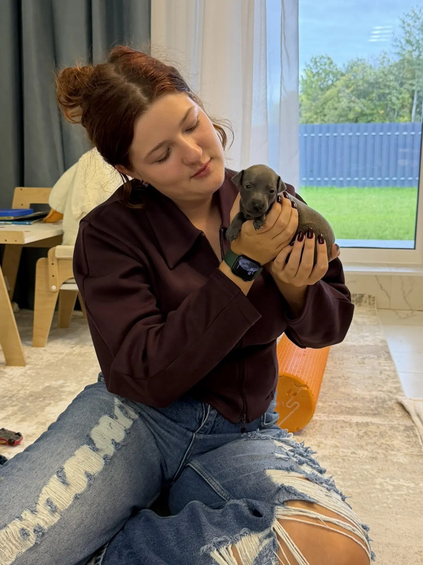 Сладкий сентябрь. Professional Italian Greyhound Kennel RKF/FCI ASTI SAPPHIRE 💎 Sochi|St. Petersburg