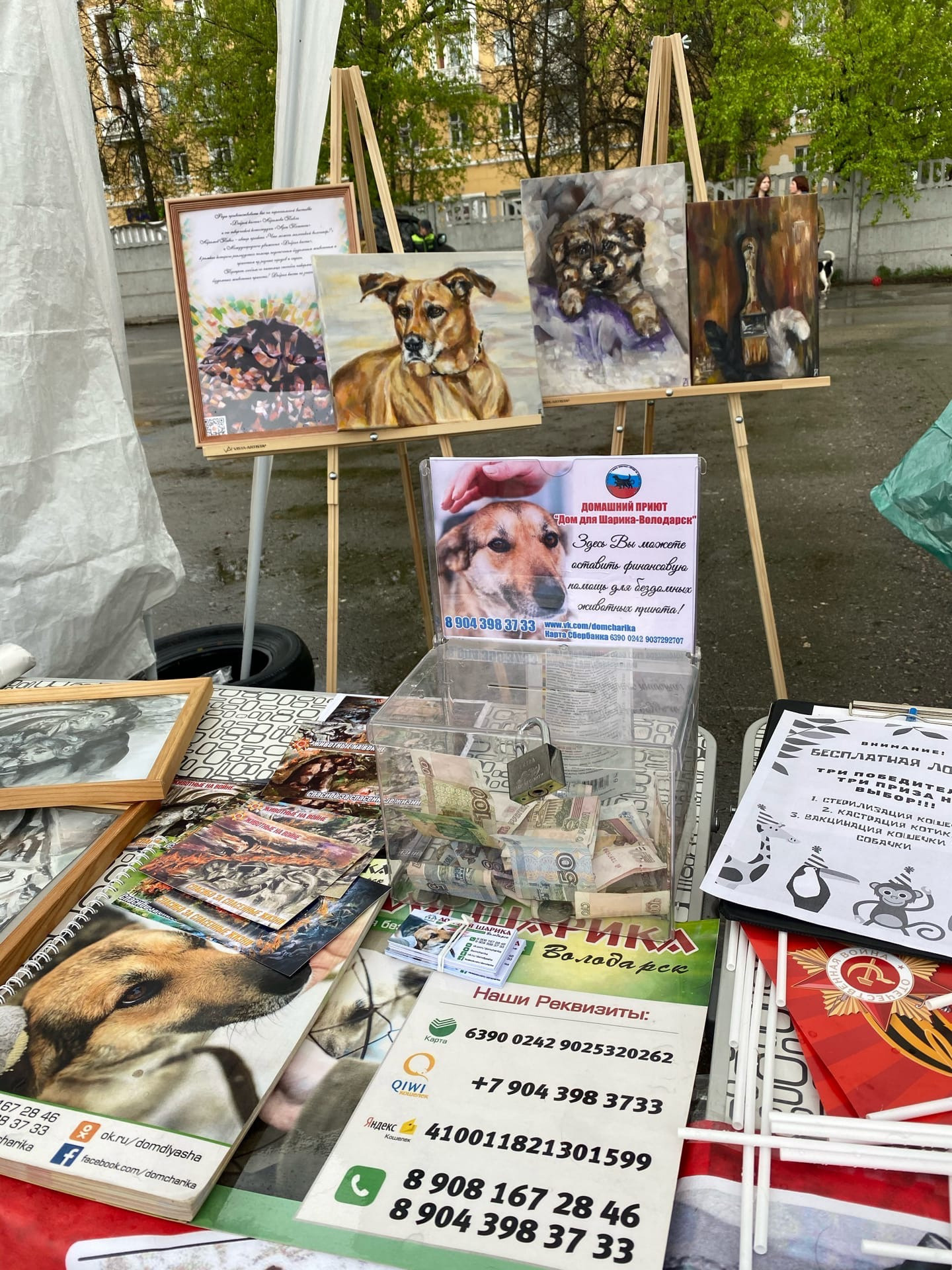 Третья выставка беспородных собак «Для дружбы не важна порода». НРОО КЦ "Собаковод"