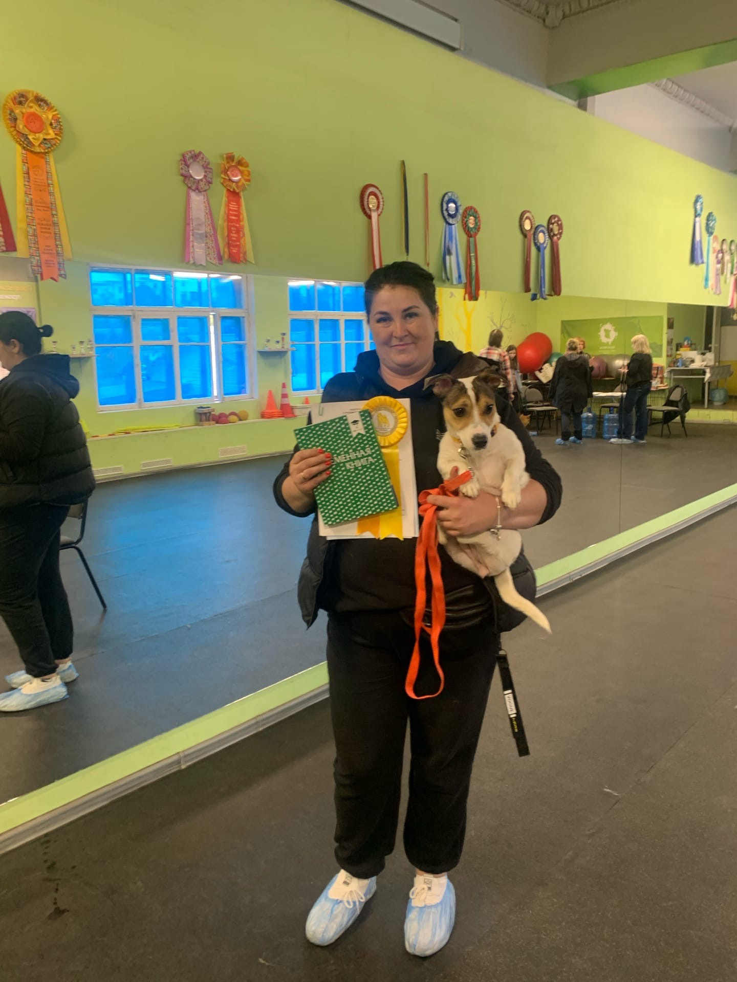 Племенной смотр. Судья РКФ/FCI — Эльвира Викторовна Сандакова. НРОО КЦ "Собаковод"