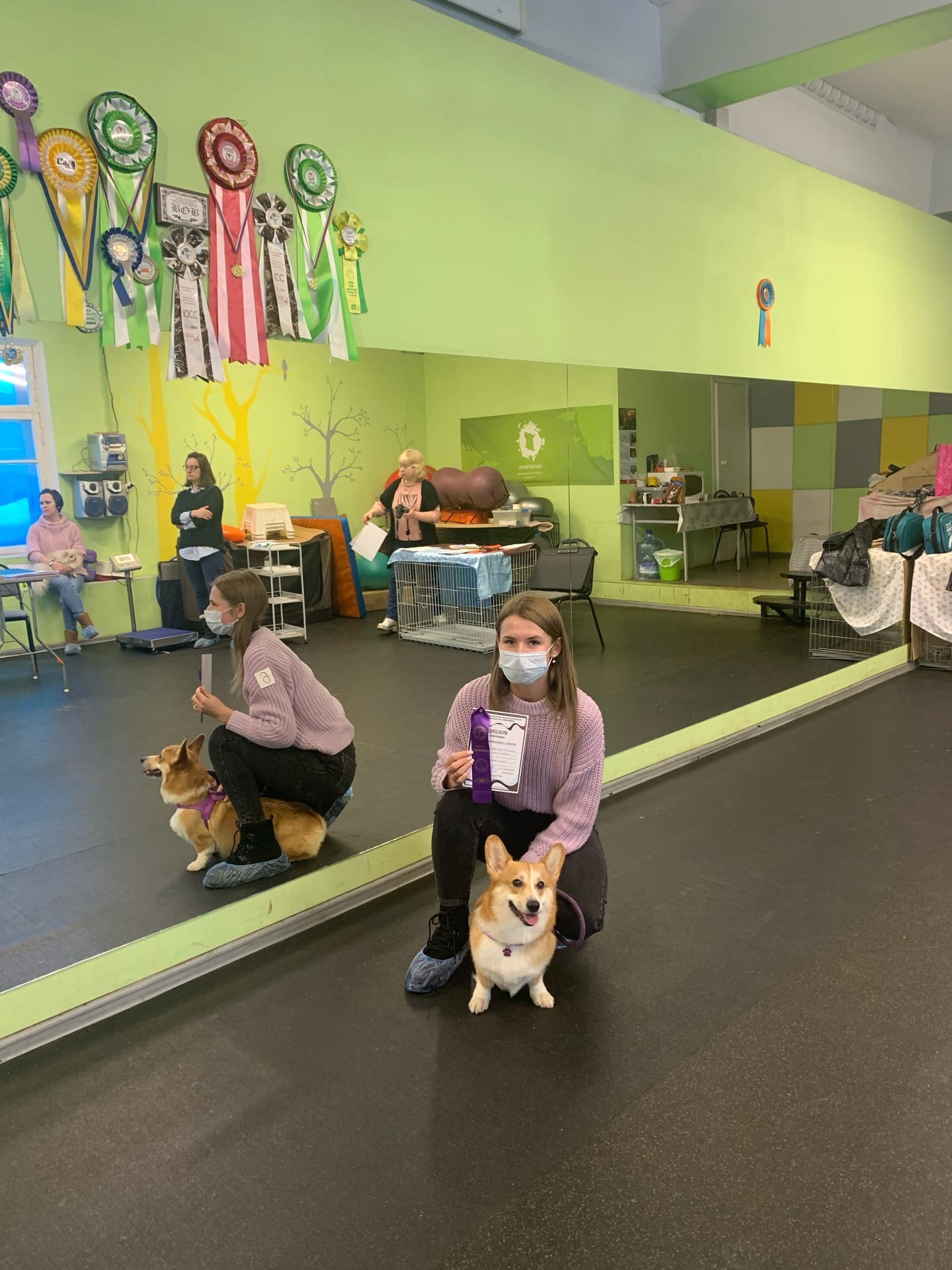 ПЛЕМЕННОЙ СМОТР- под экспертизой Судьи РКФ- FCI — Анны Власовой. НРОО КЦ "Собаковод"