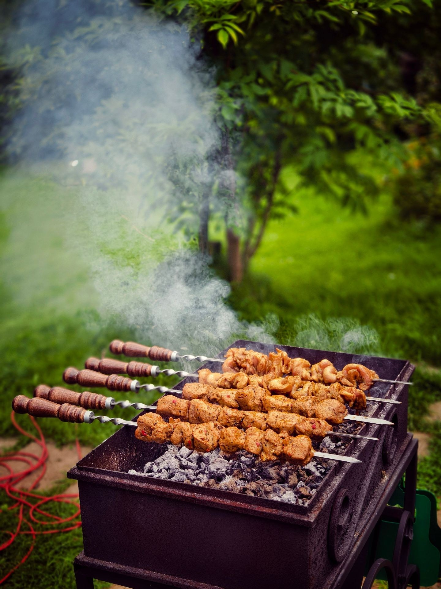 Мангал с шашлыками, дым и аромат летом
