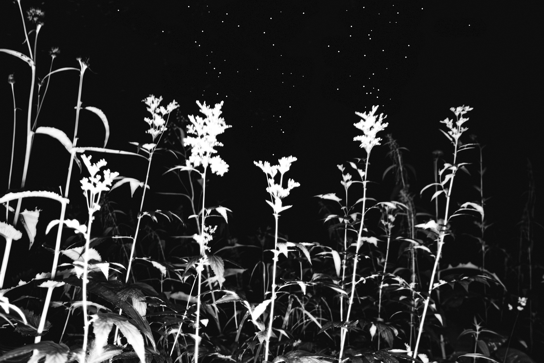 Пристанище_принт (5) гос. Элина Гусарова