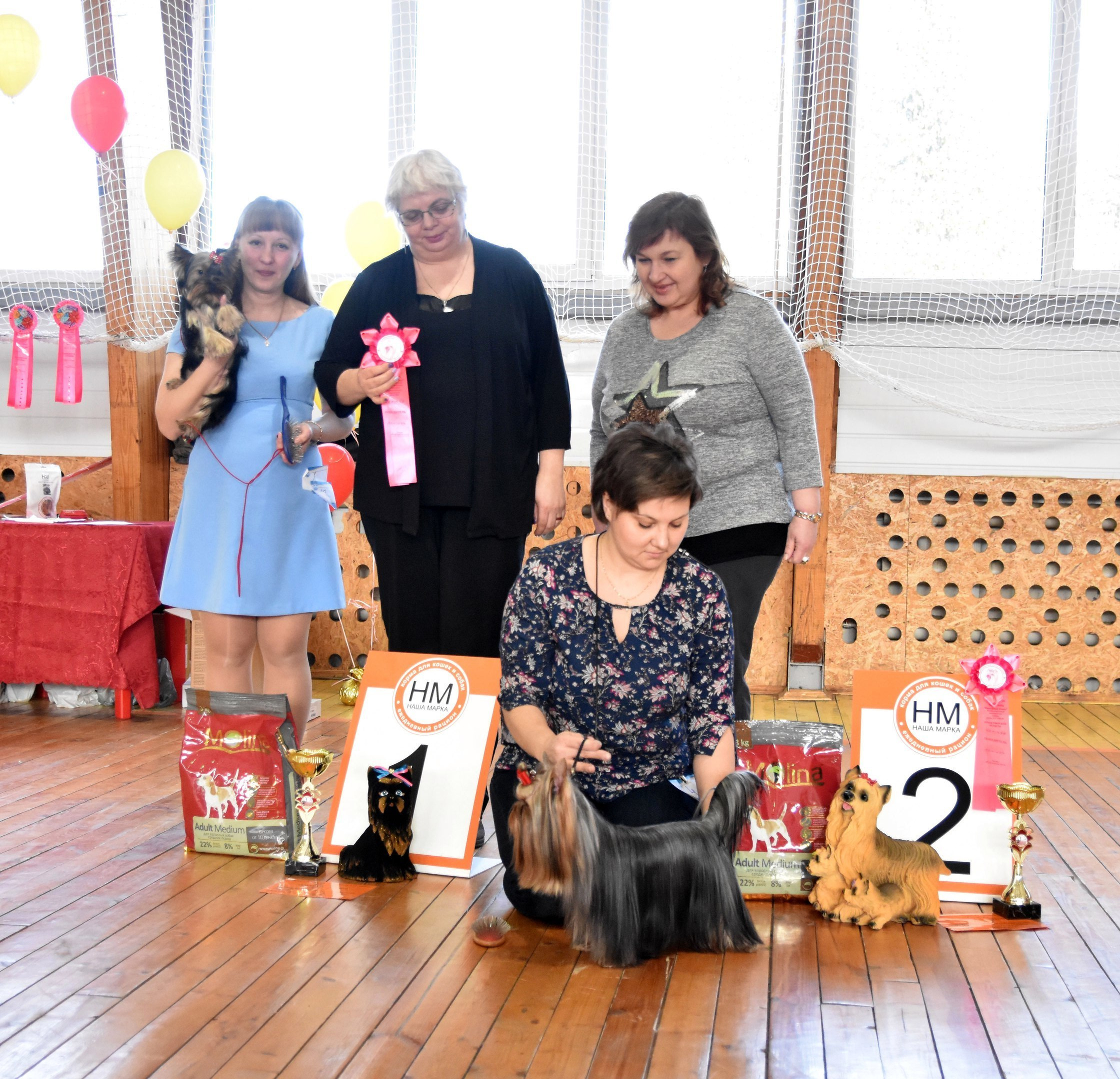 2016 г Результаты выставок. Питомник Йоркширских терьеров Дэнстайл в Санкт-Петербурге заводчик Тих