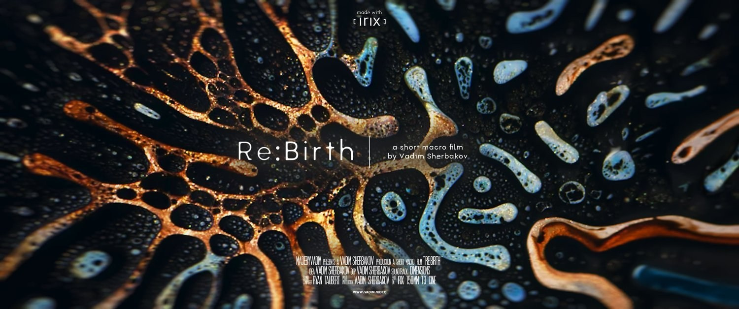 Macro films of Vadim Sherbakov. Short films by Vadim Sherbakov