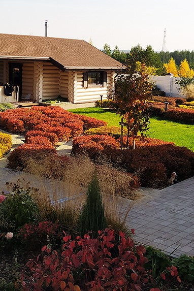 Рускі дызайн каштарысу