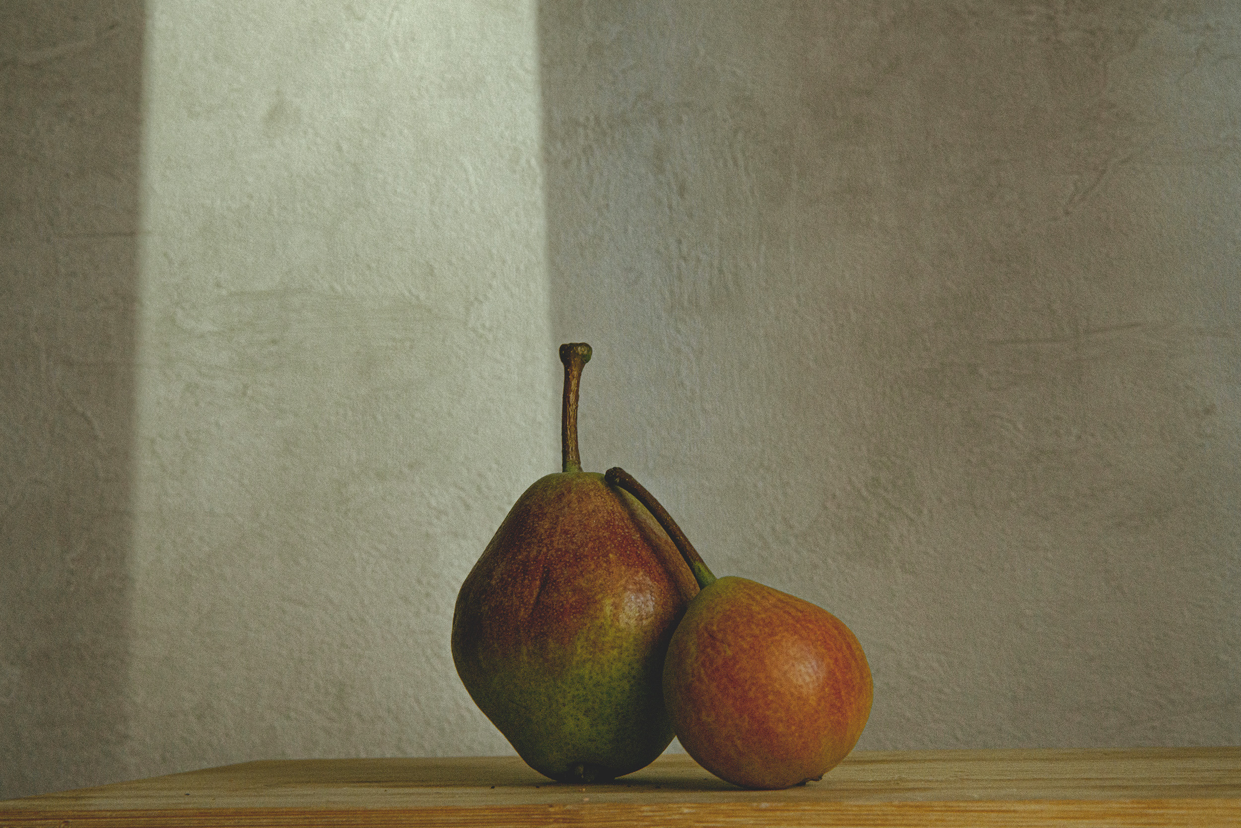 Услуги. Фотограф Наталия Шляпина в Ростове-на-Дону