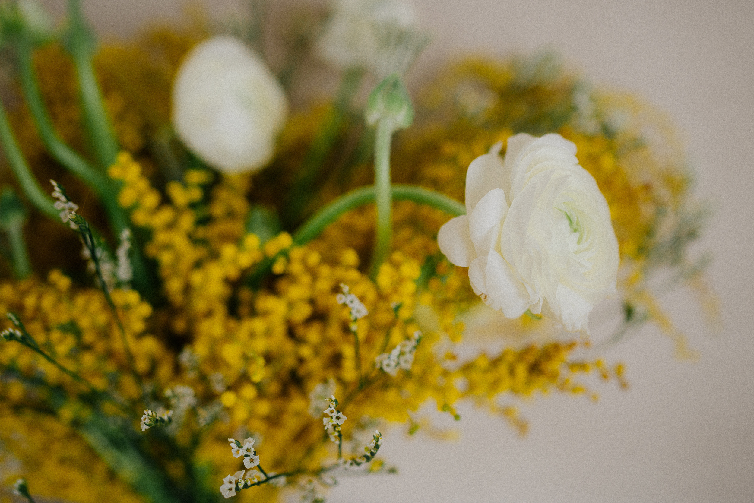 Воркшопа и тв съемки. Свадебный фотограф Челябинск Екатеринбург