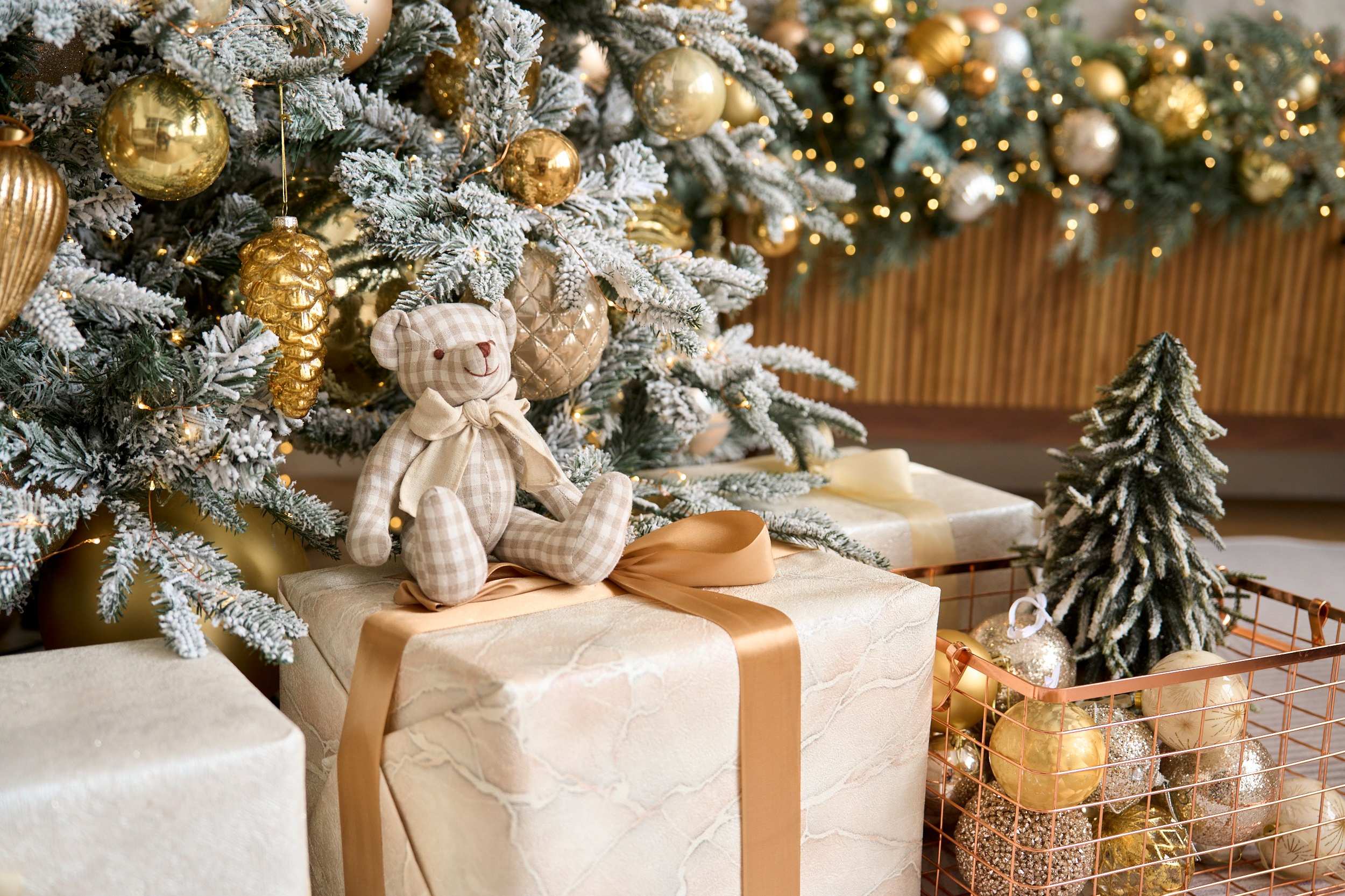 НОВЫЙ ГОД 2024/2025. Семейный и детский фотограф в Хабаровске Савишина Светлана