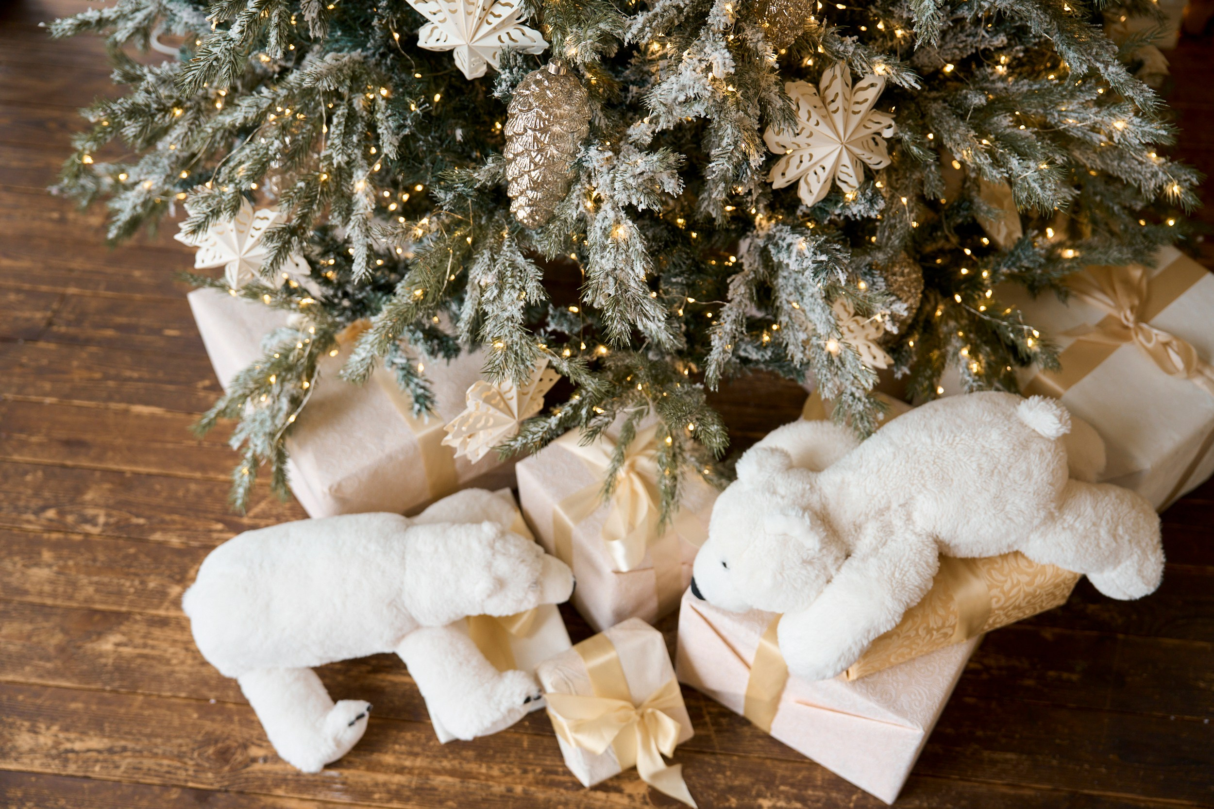 НОВЫЙ ГОД 2024/2025. Семейный и детский фотограф в Хабаровске Савишина Светлана