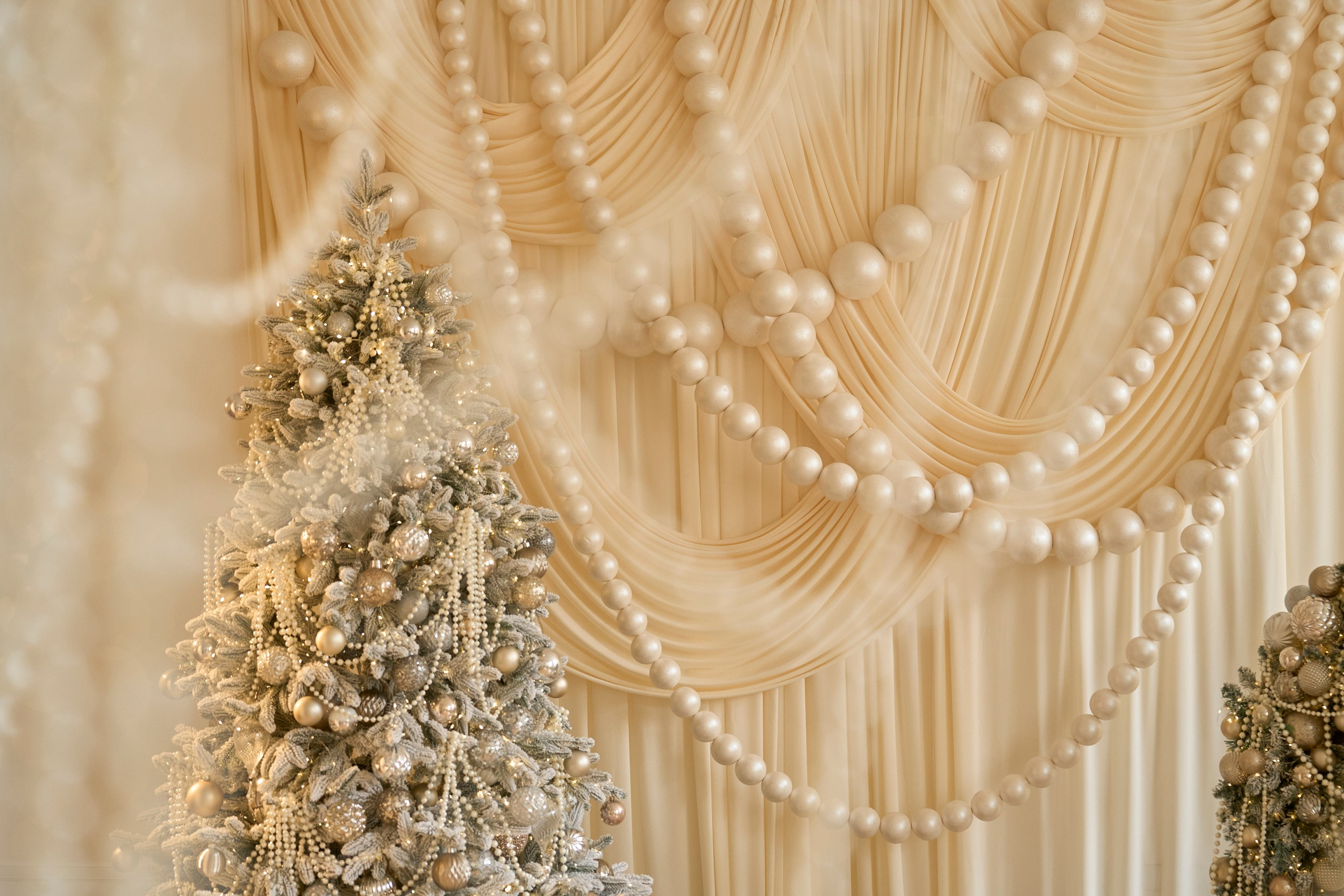 НОВЫЙ ГОД 2024/2025. Семейный и детский фотограф в Хабаровске Савишина Светлана