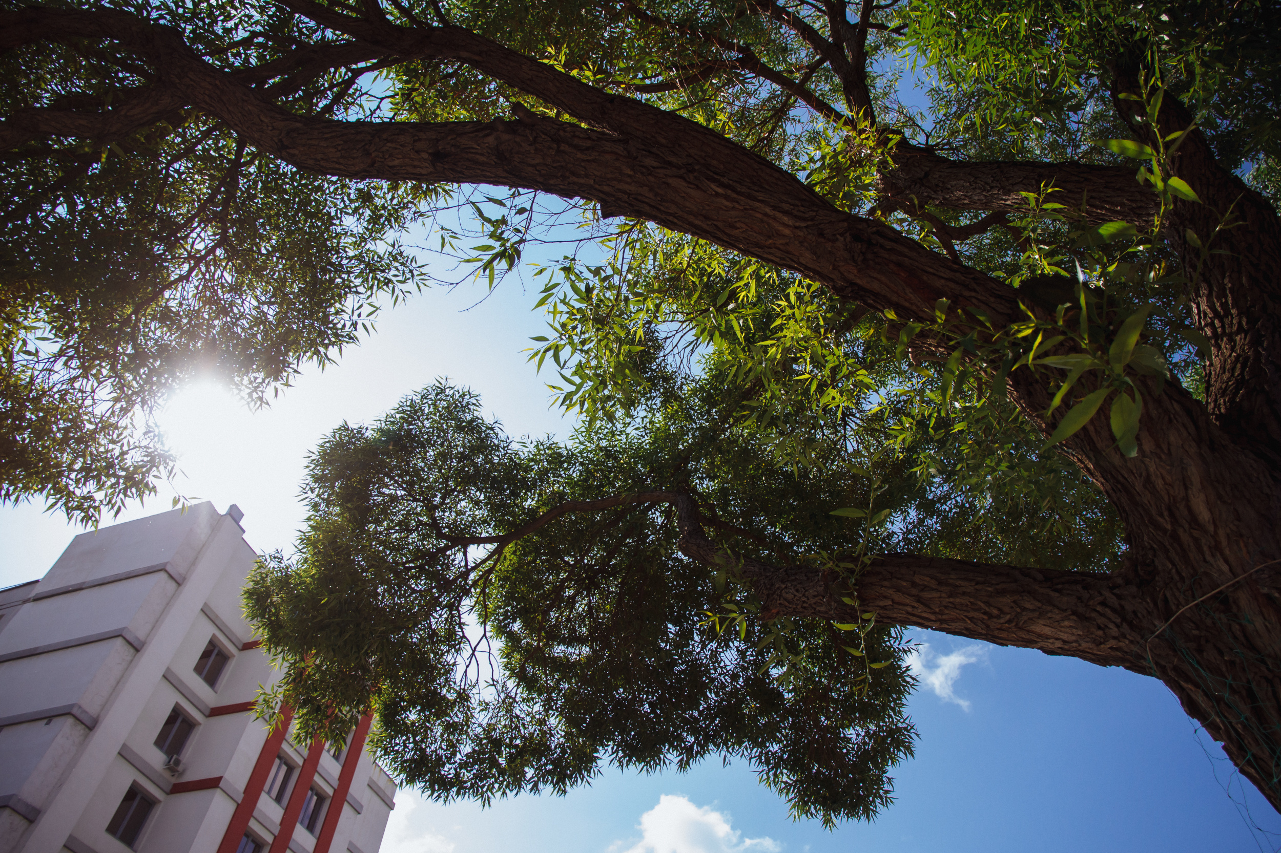 Максим & Наталья. Фотограф историй в Челябинске и Екб