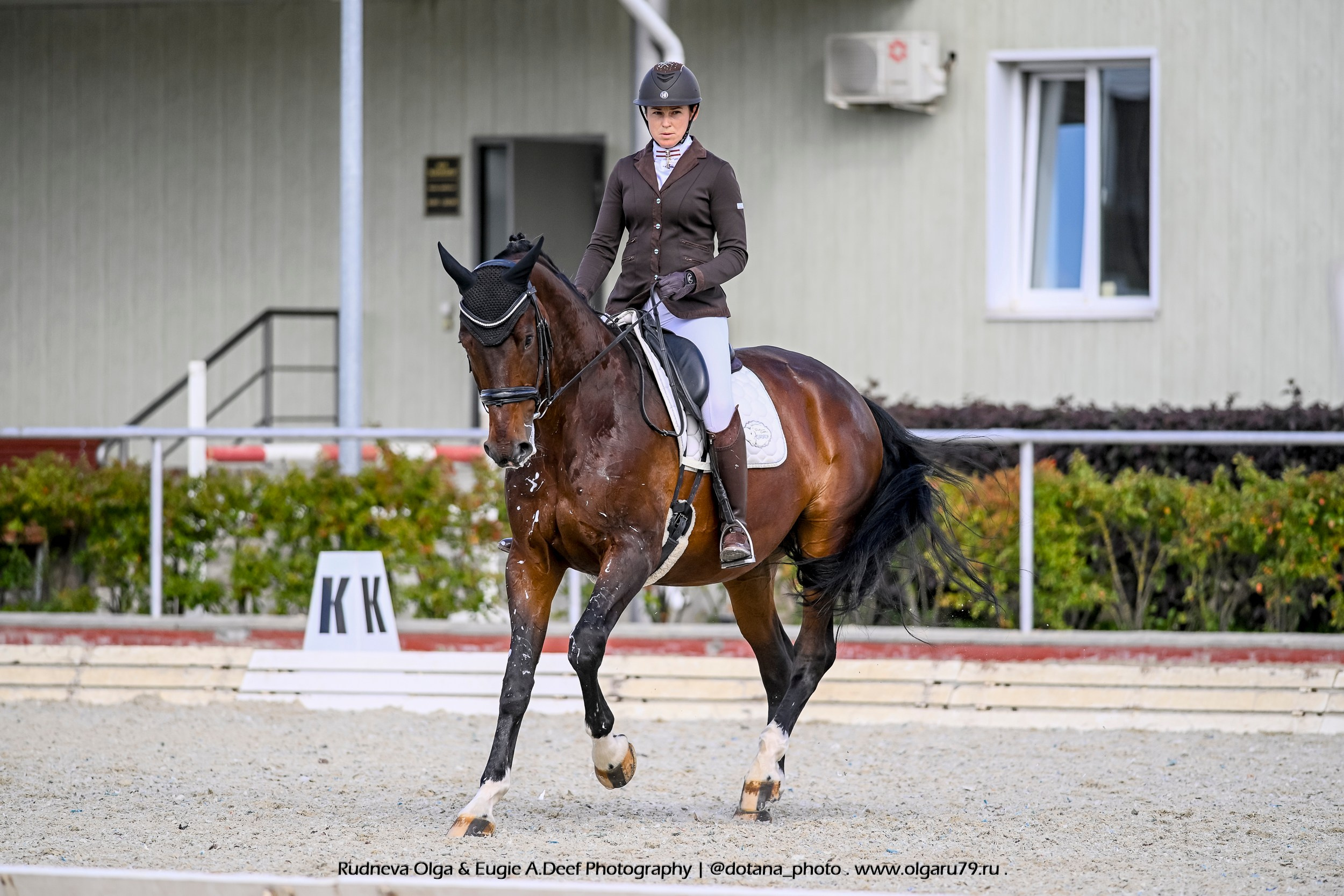 2025.08.22/23 — Летний Кубок КСК Конкорд по конкуру и выездке. ТУРНИРНАЯ КОННАЯ ФОТОГРАФИЯ, Руднева Ольга и Евгений Адеев