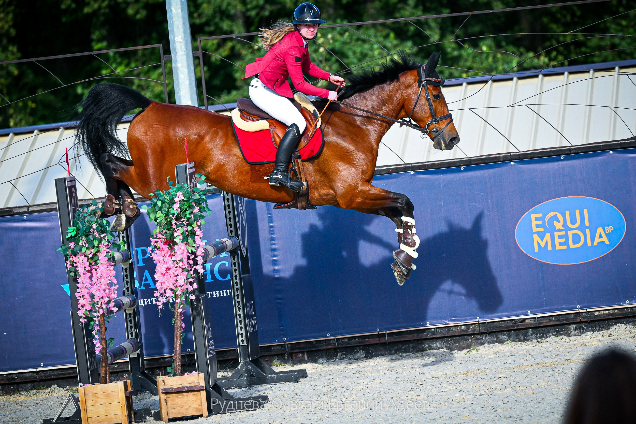 КСК ВИВАТ, РОССИЯ! ТУРНИР БИЗНЕС НА КОНЕ (12,13,14 сентября 2025). ТУРНИРНАЯ КОННАЯ ФОТОГРАФИЯ, Руднева Ольга и Евгений Адеев