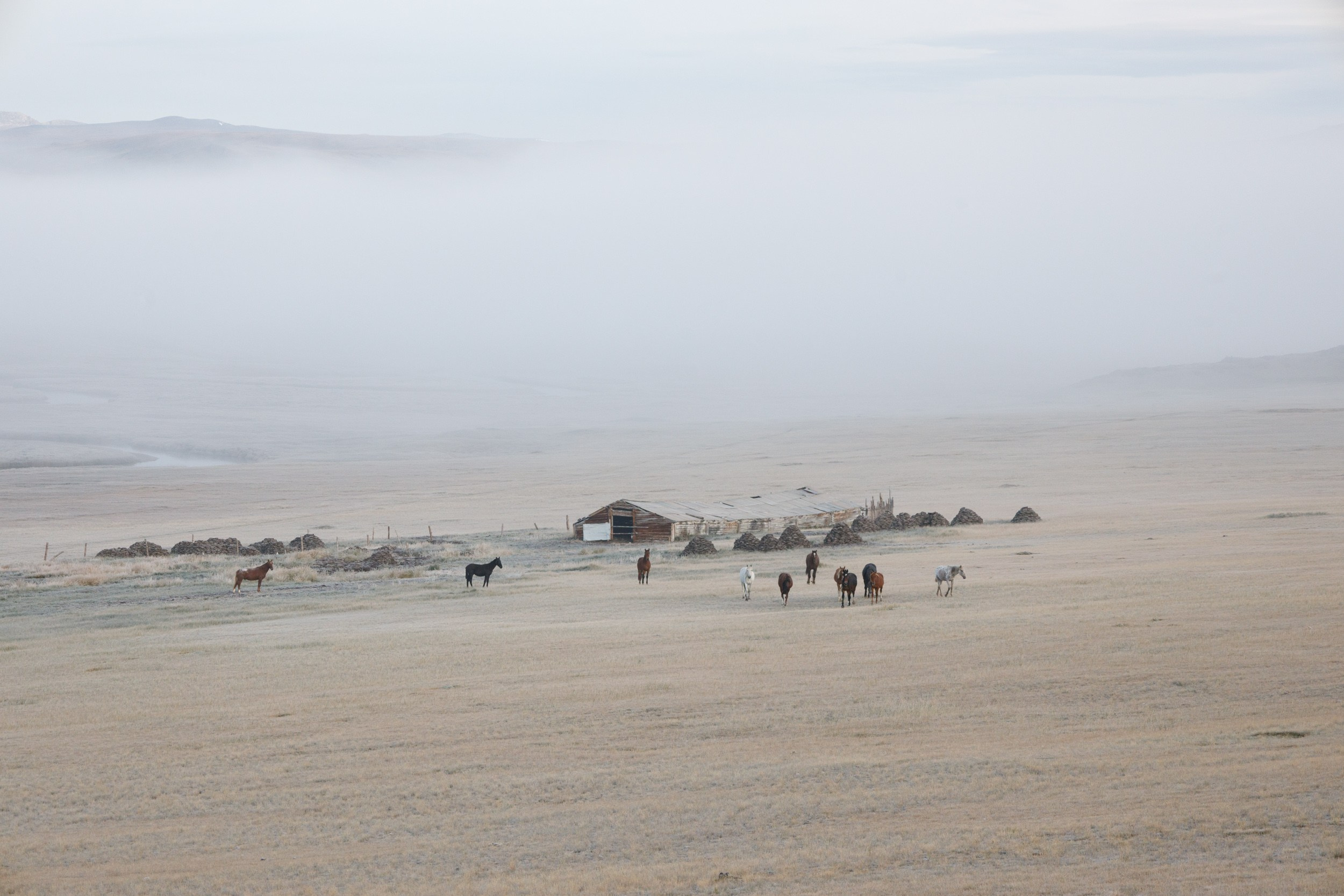 Мои работы на выставка NATURE PHOTO TEAM 2025. Фотохудожник Андрей Лагунов