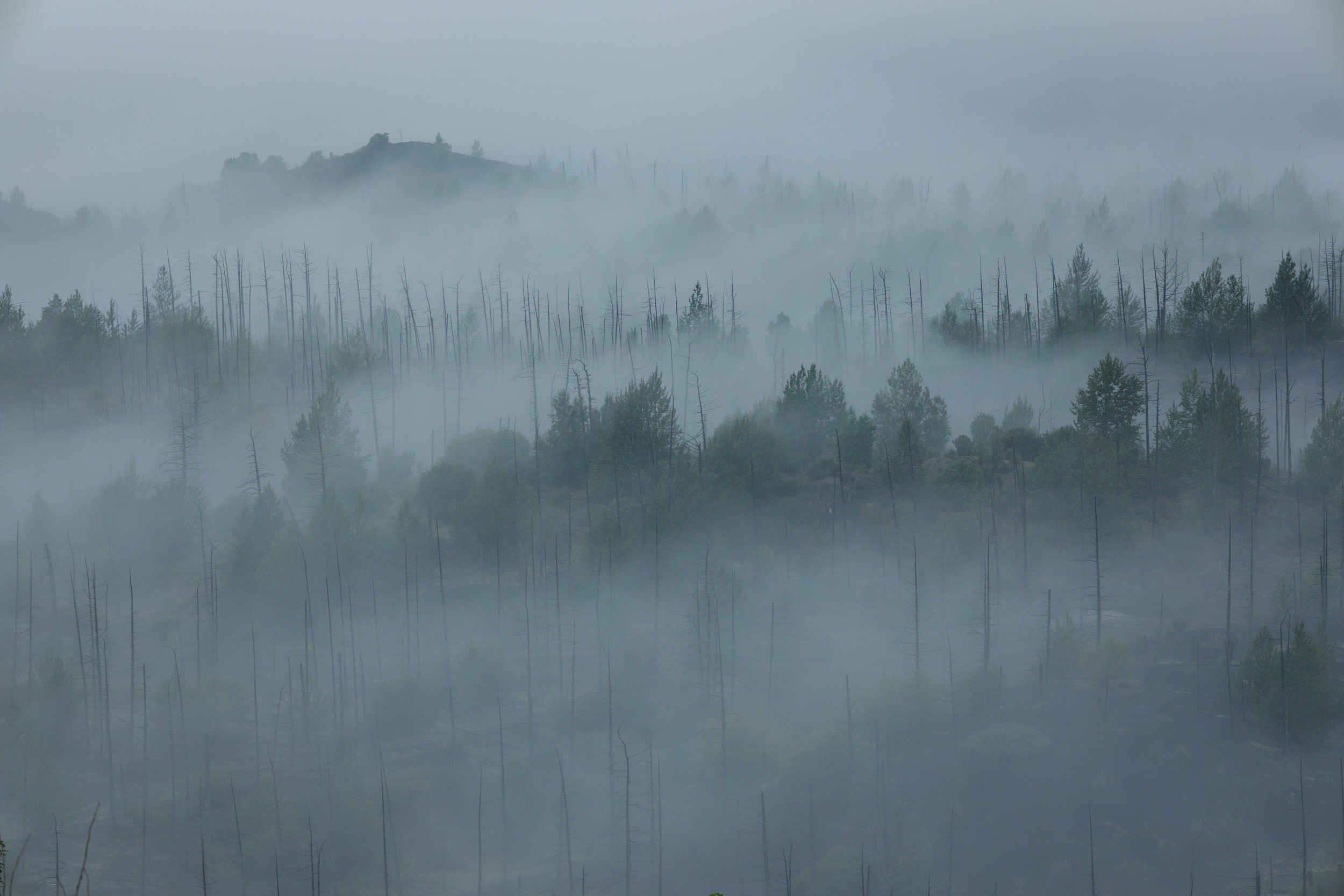 Календарь на 2026 год. Фотохудожник Андрей Лагунов