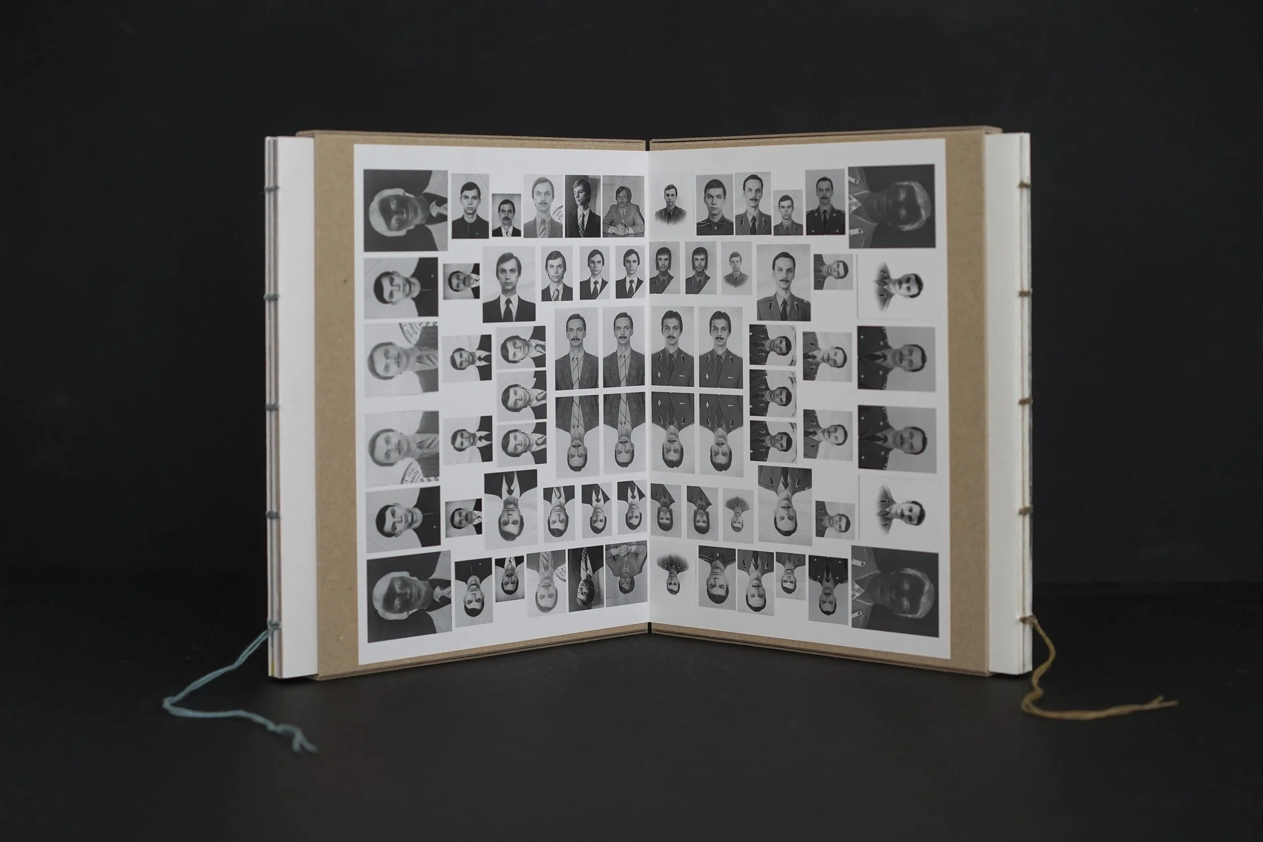 ОБЗОР АКТУАЛЬНЫХ ФОТОКНИГ: BINOM. Самоорганизация Низина