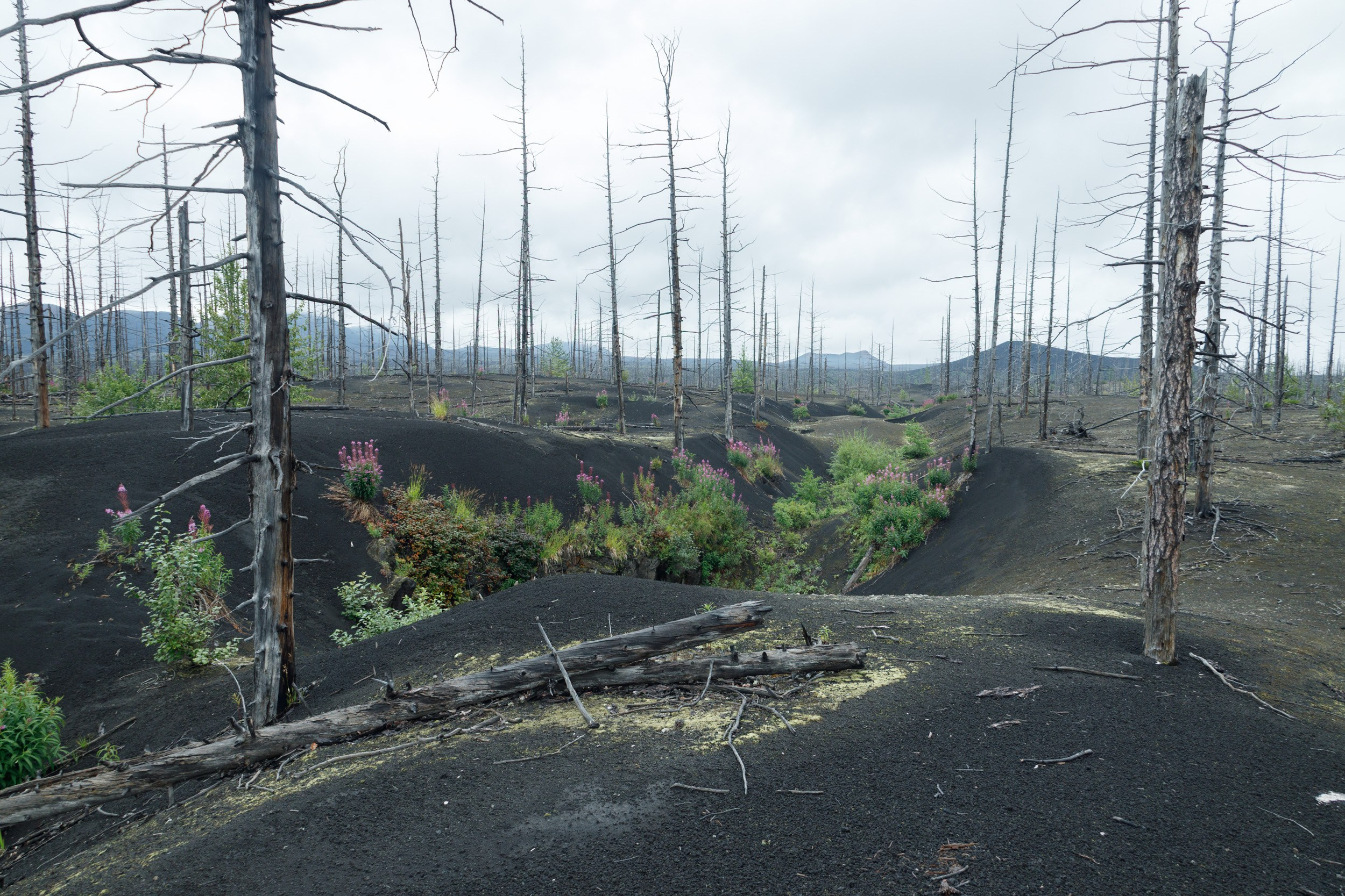 Фотовыставка «Широка страна моя». Фотохудожник Андрей Лагунов