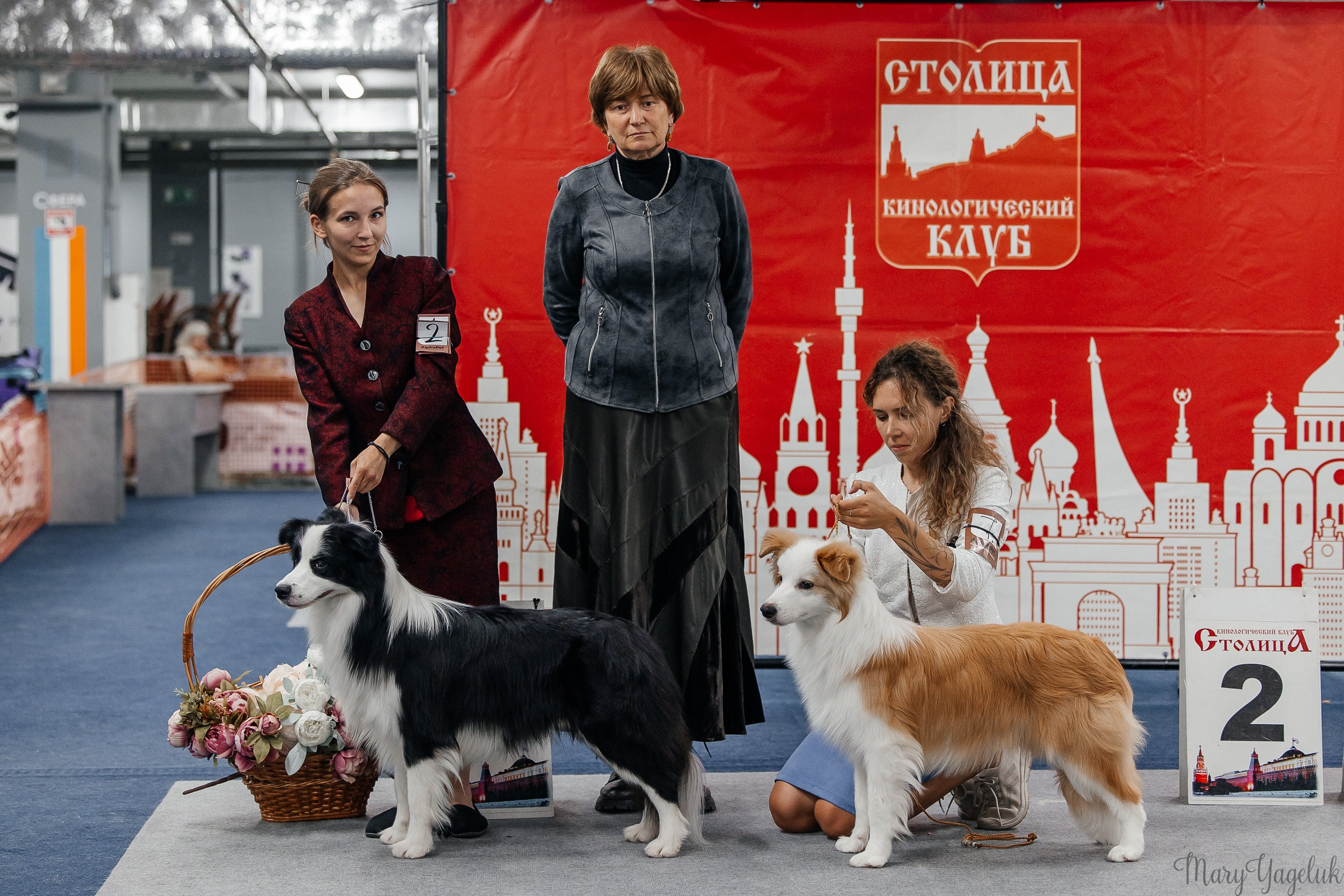 Самые нежные фотографии