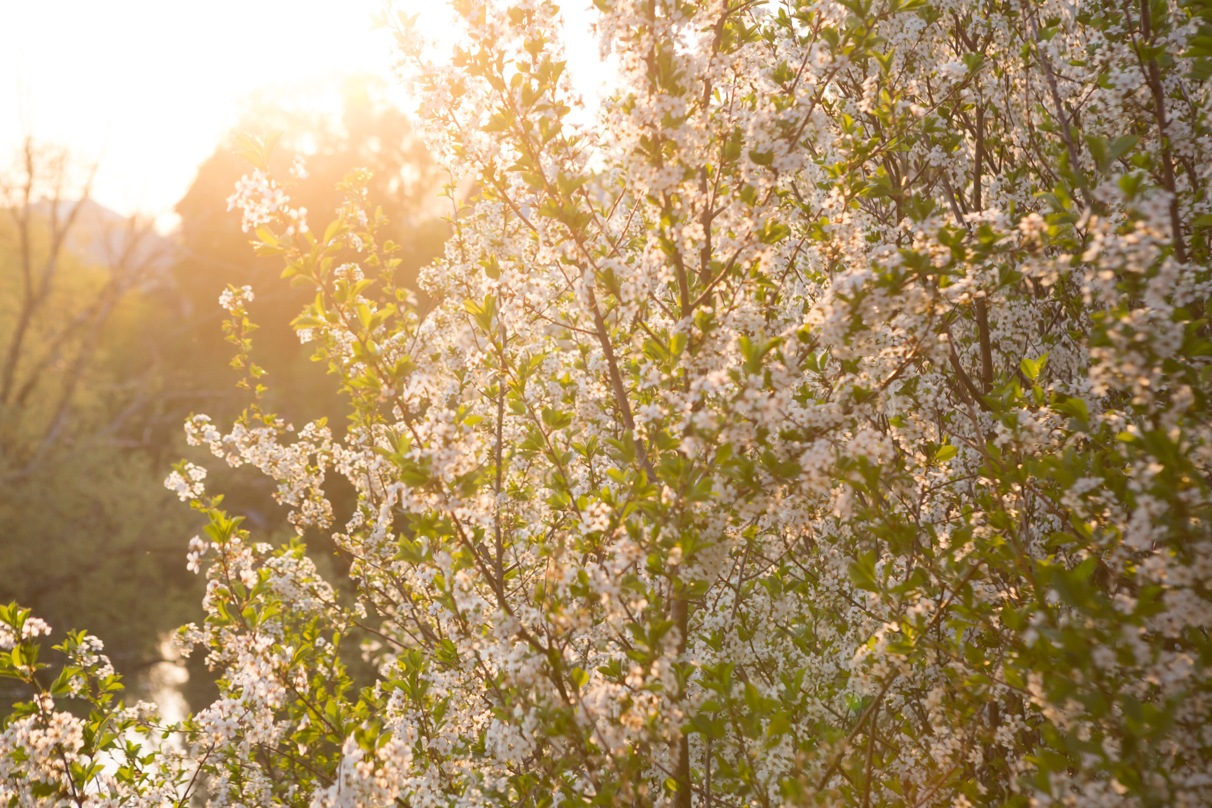 Лето. Фотограф в Уфе Михаил Валеев