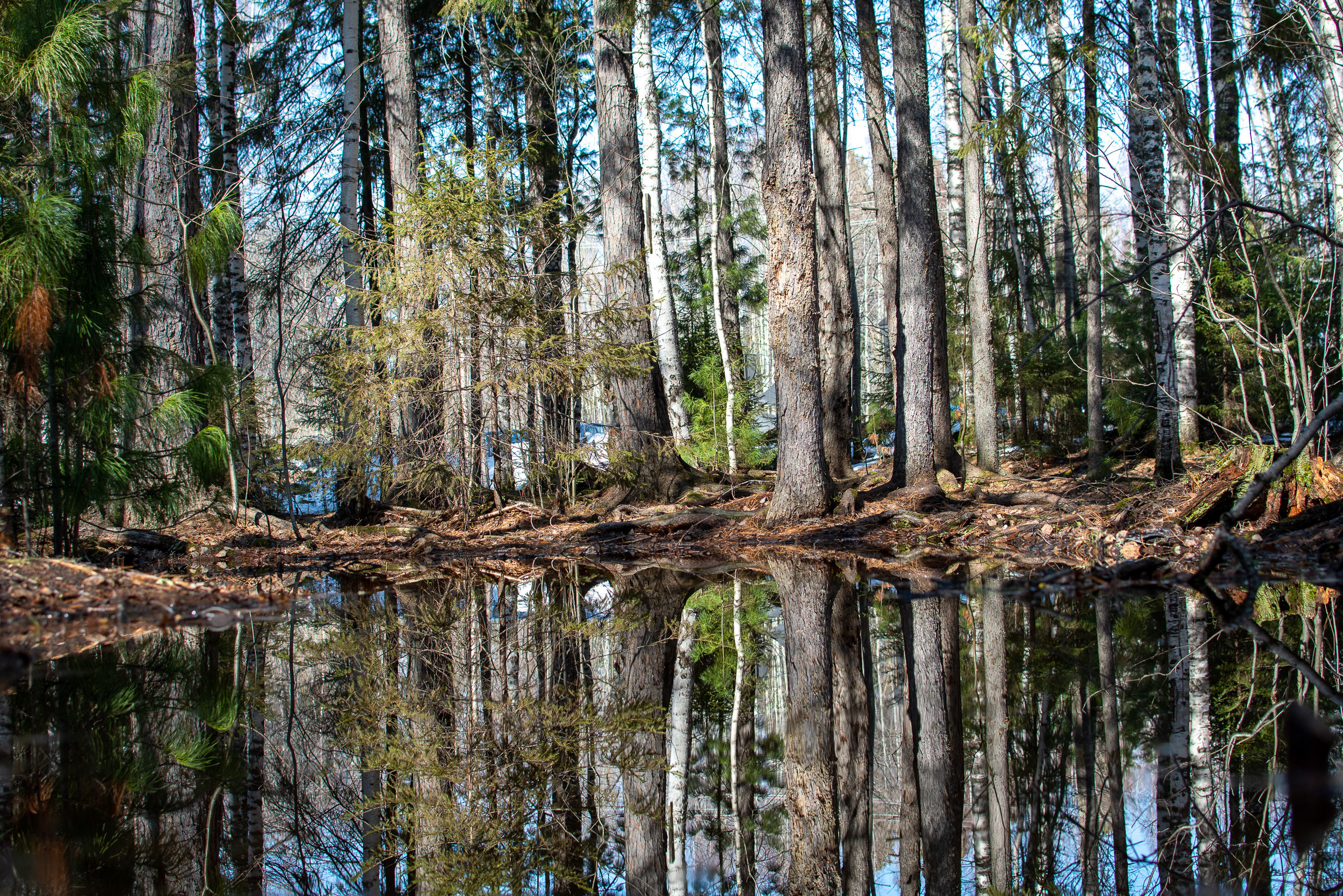 Контакты. Ольга Злобина фотограф Пойковский, ХМАО