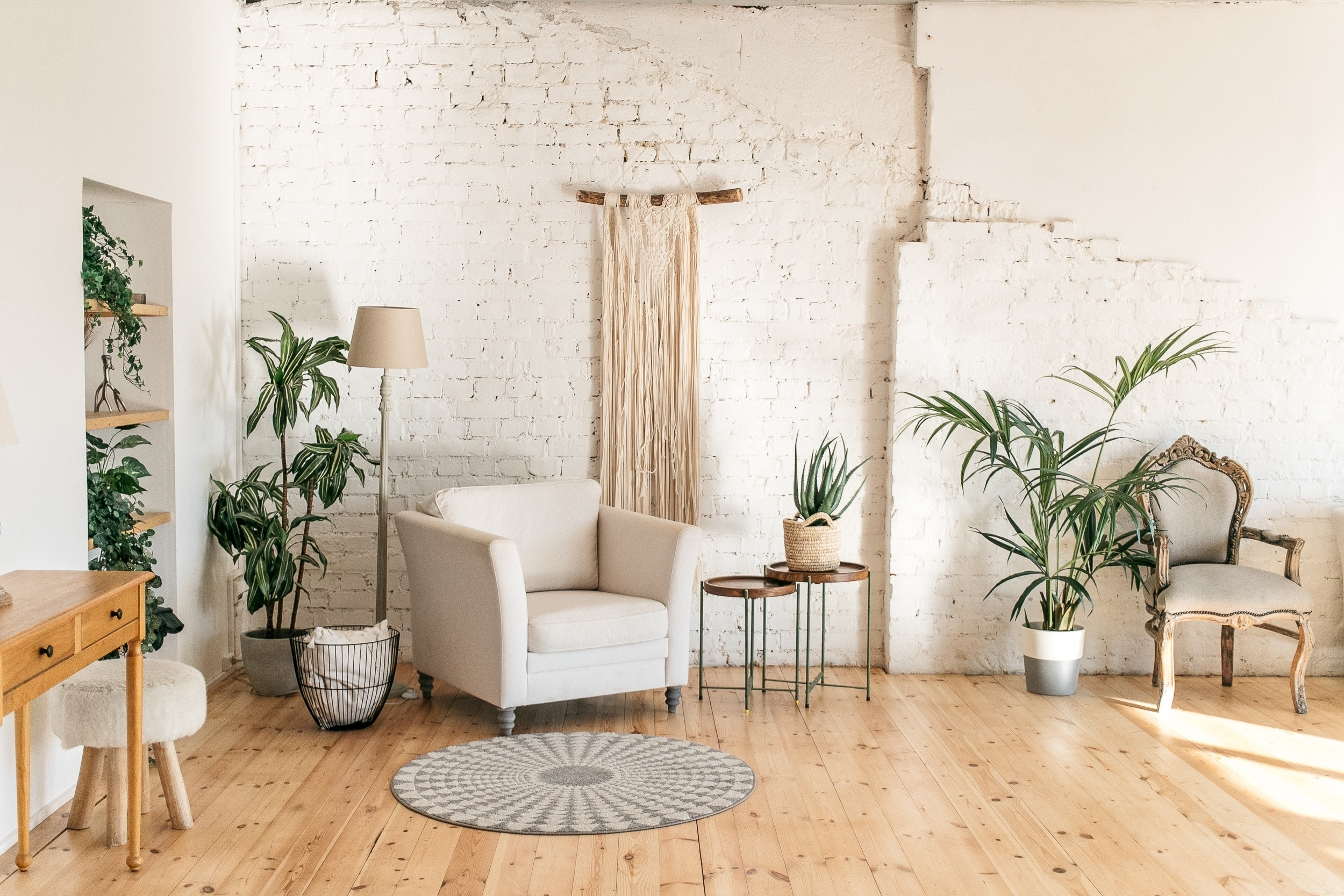 Рекомендуемые фотостудии для свадебной или семейной съёмки в СПб