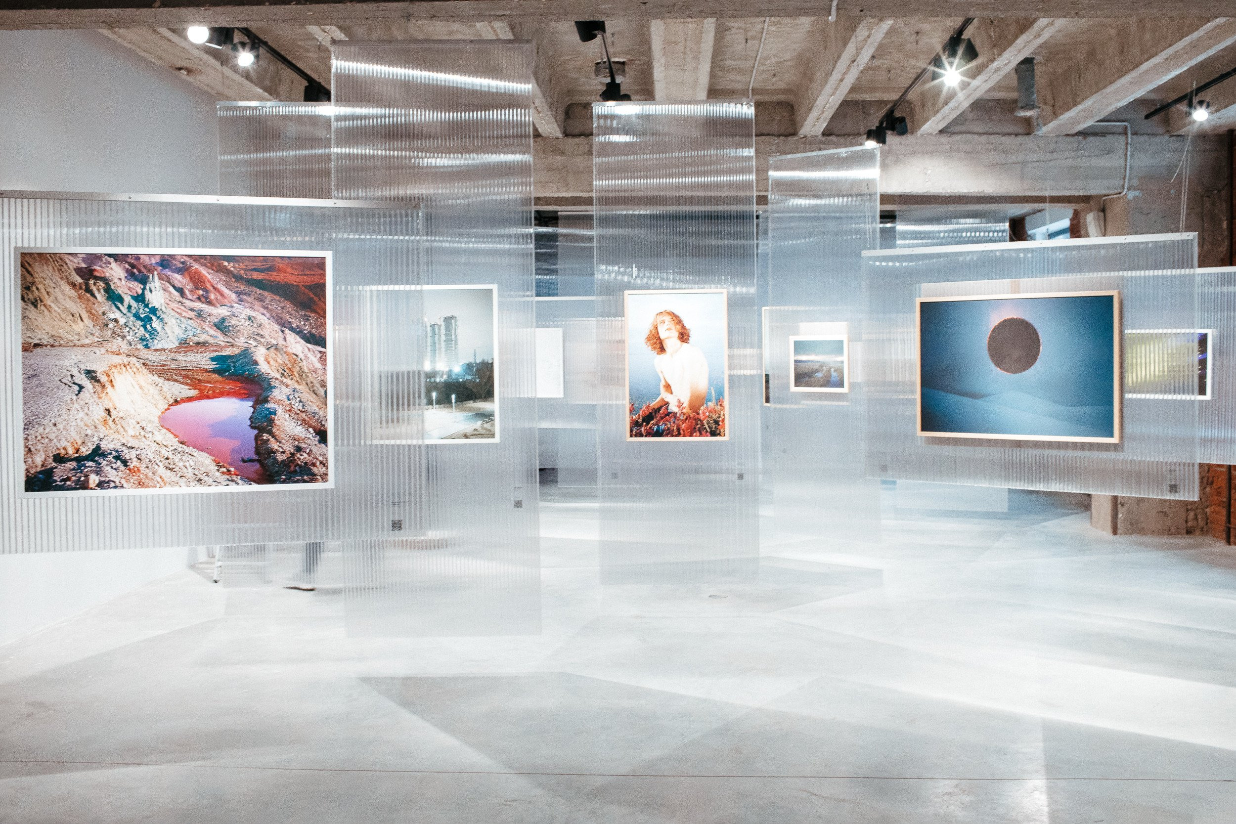 Herbarium was the inaugural show for Pennlab Gallery. Elena Anosova is an award-winning visual artist