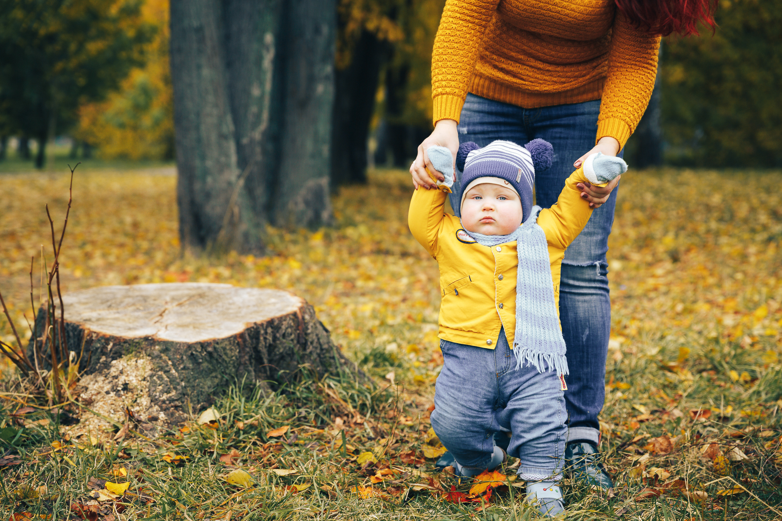 Стоимость услуг