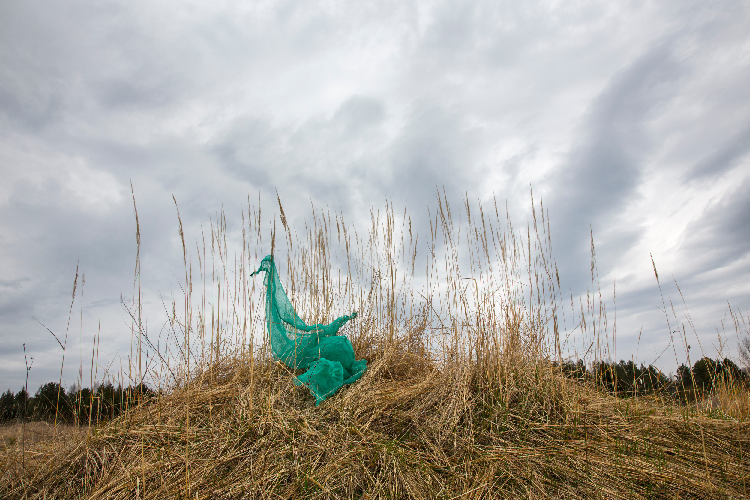 Концептуальные арт проекты. Татьяна Корчагина. Фотограф, художник. Обучение фотографии