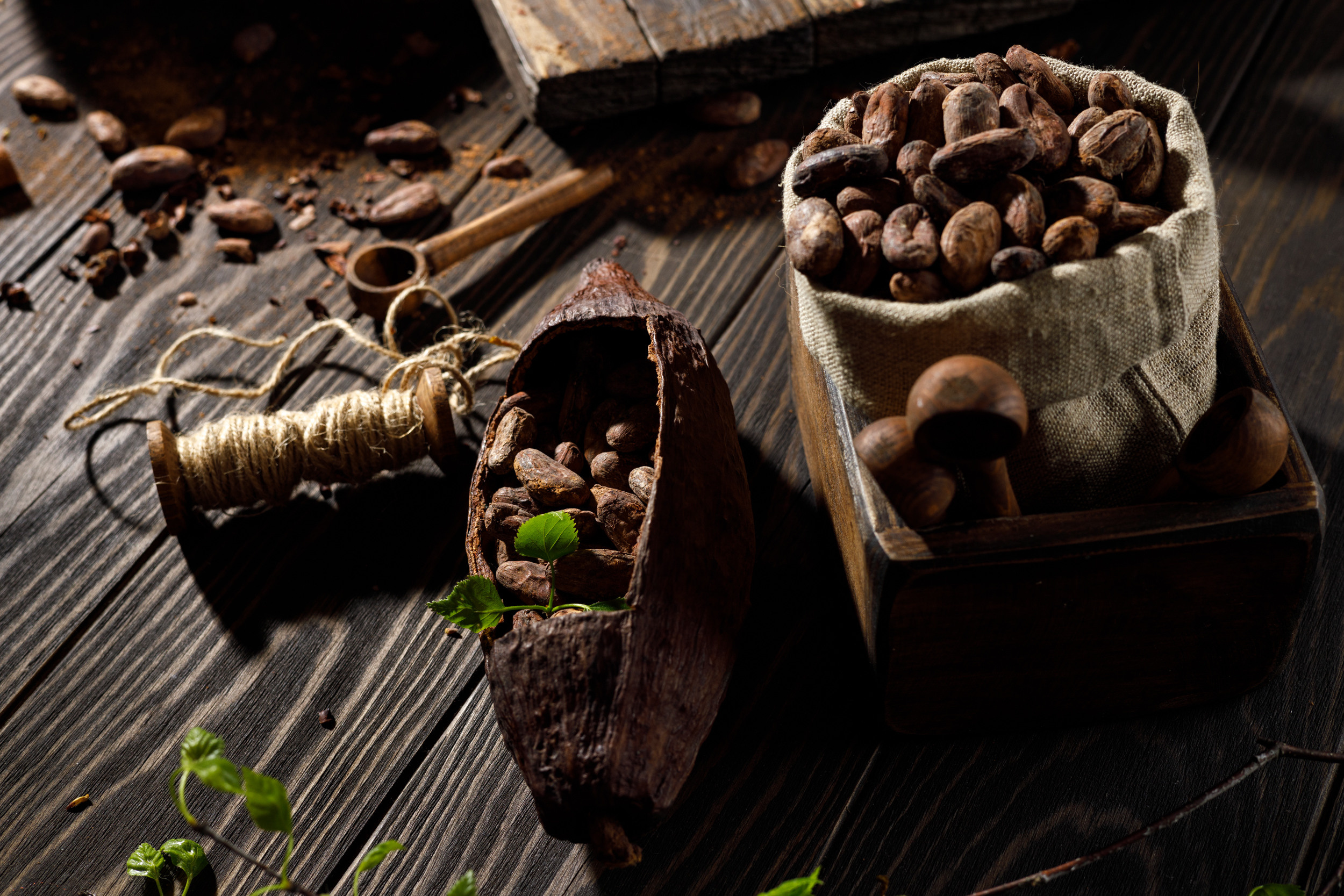 Для сайта какао. Фуд и предметный фотограф Гришина Ольга