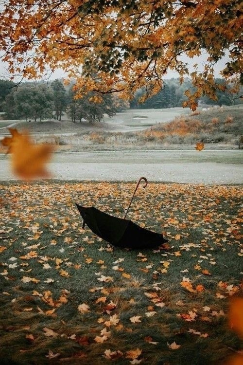 Идеи для фотосессии осенью. Фото Радости. Свадебный и семейный фотограф в Москве Юлия Самойлова