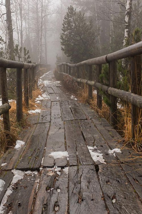 Читальный зал. Марина Рыбкина — Глубинная психология