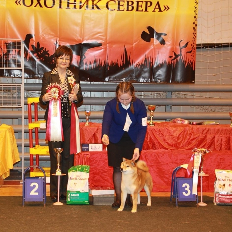 Dog show 2018. SHIOMARU Питомник сиба и акита-ину