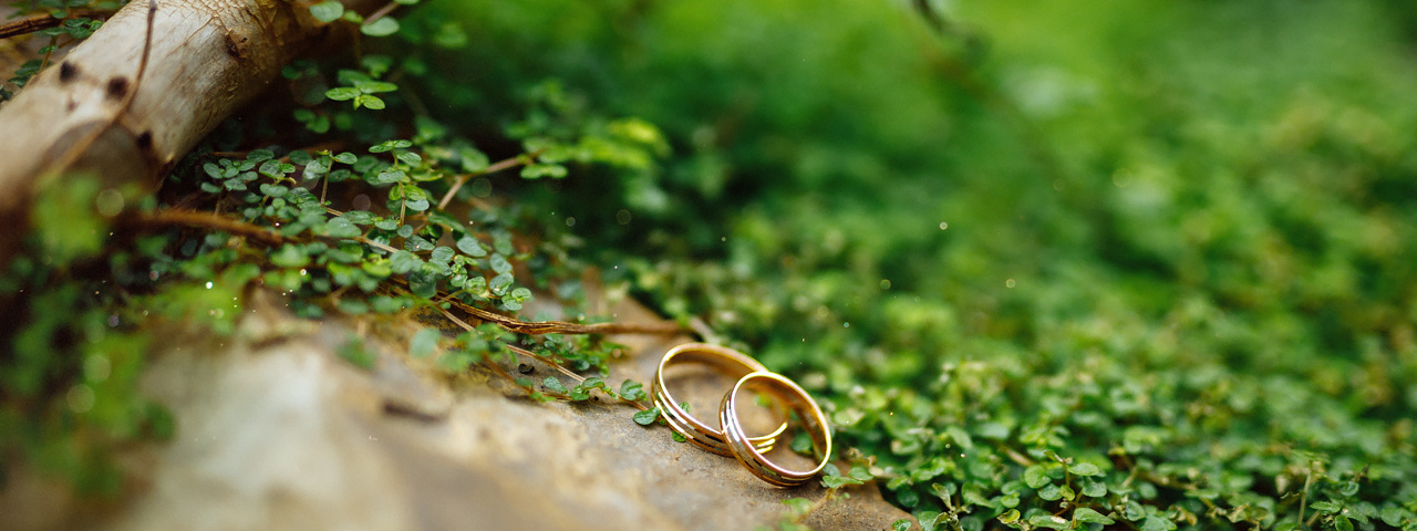 Условия фотосъемки. Свадебный фотограф в Томске Екатерина Дмитриева