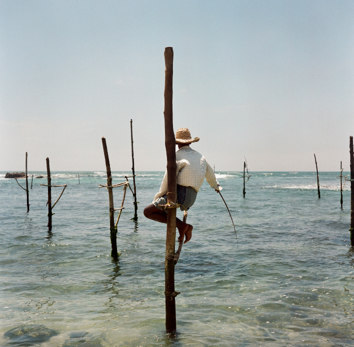 «Любимый кадр». Фотовыставки serebro.gallery, в которых автором можешь стать ты! | Москва