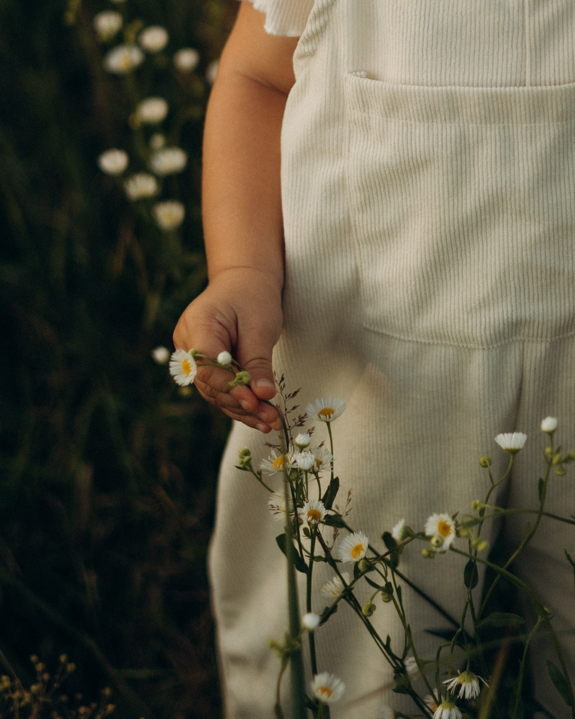 Услуги. Надежда Стар семейный и церковный фотограф в Жукове и Калужской области