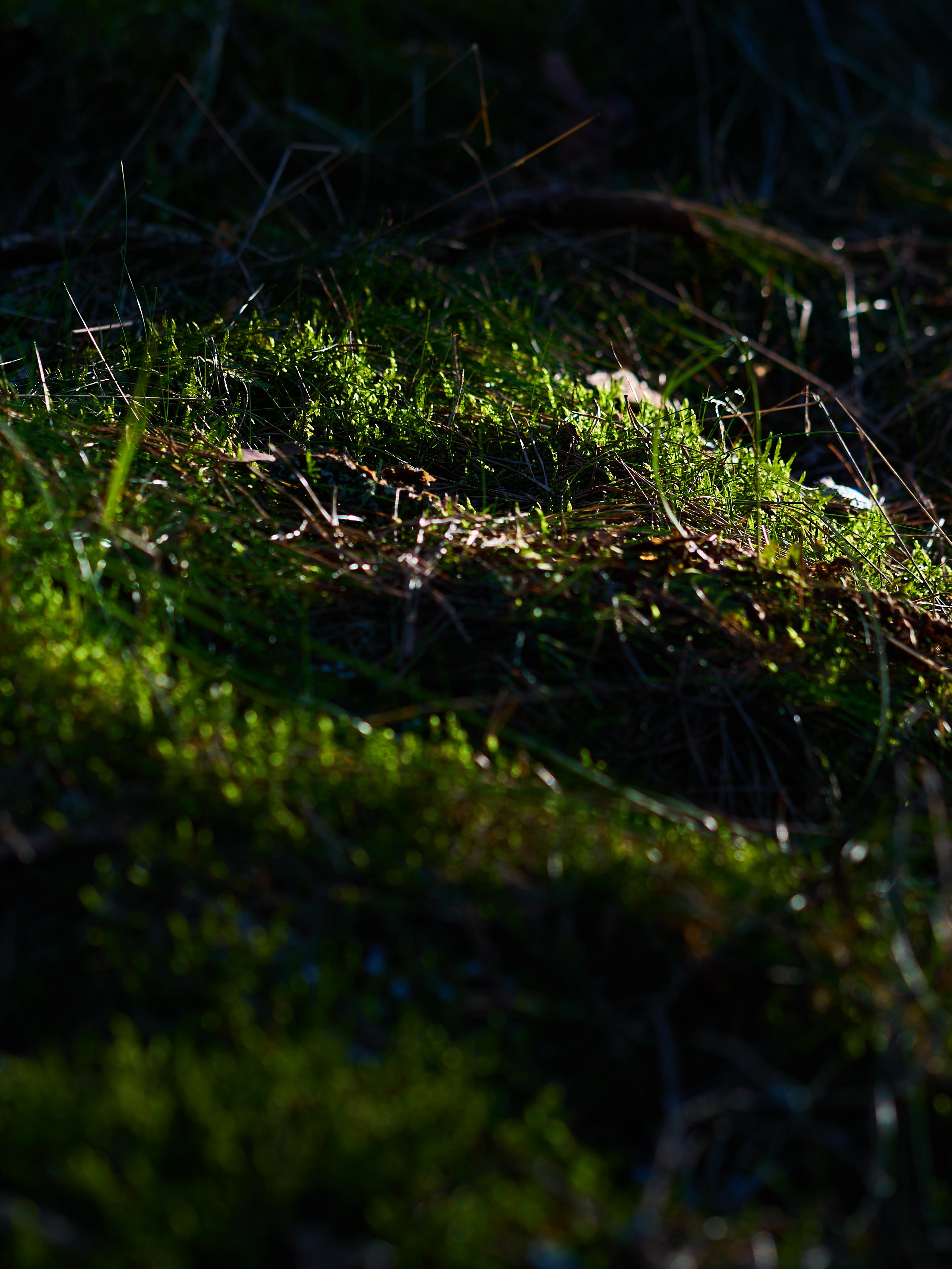 Высота Эфа. Фотограф в Москве Анастасия Баева